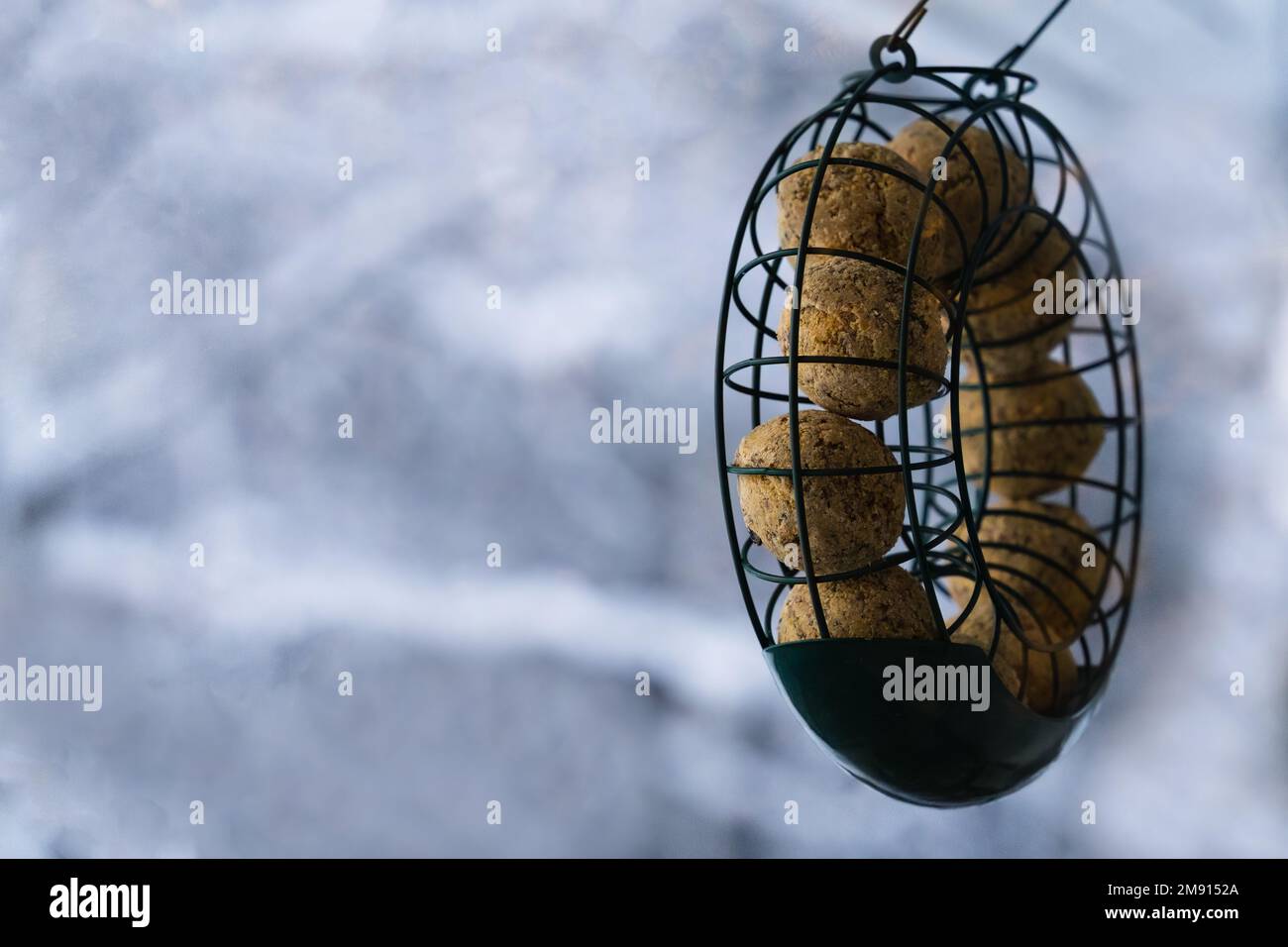 Fat ball bird feeder outside on a winter day. White background with copy space Stock Photo