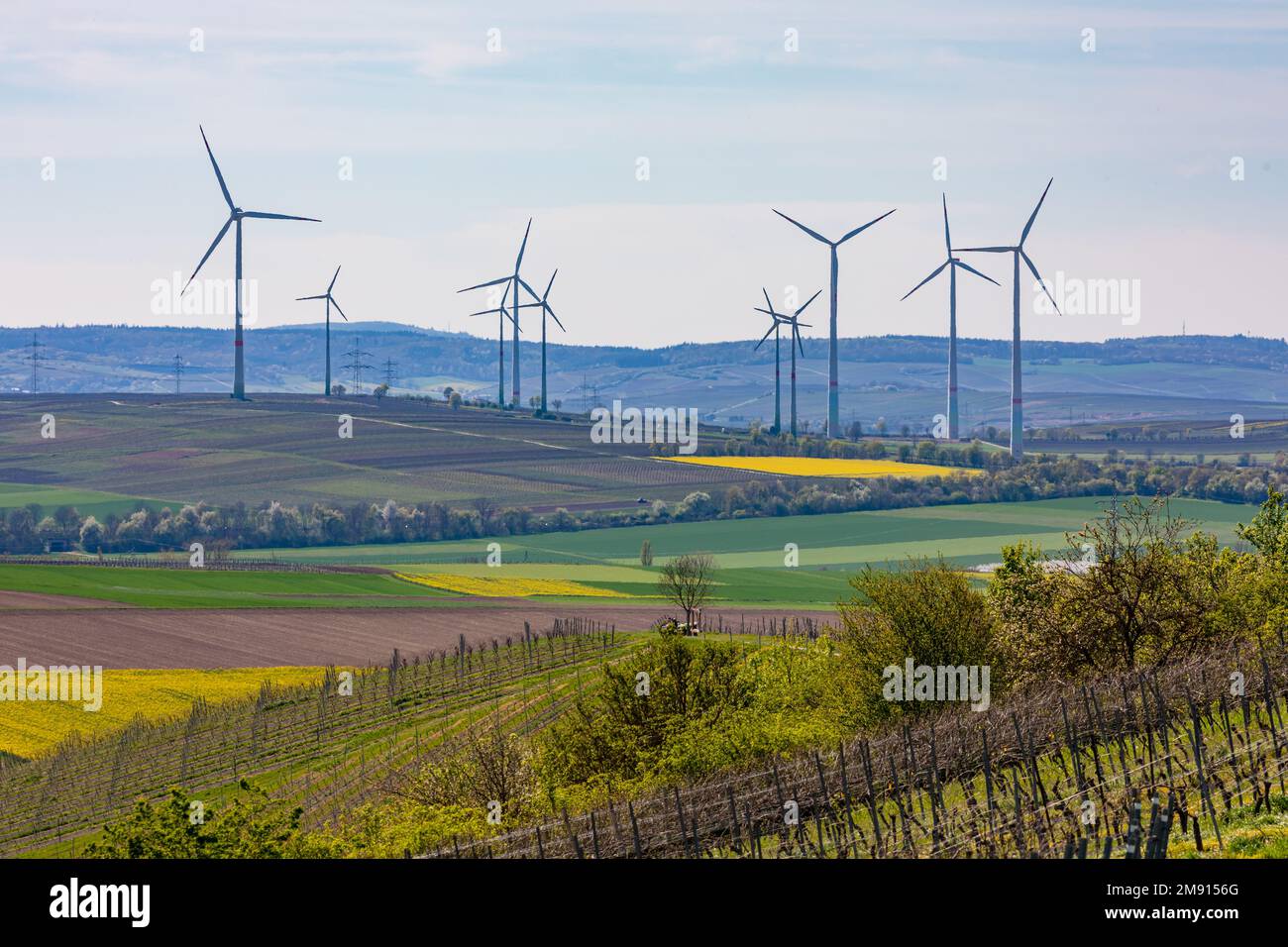 Rural landscape with vineyards and wind turbines to generate electricity for the German Energiewende in global energy crisis Stock Photo