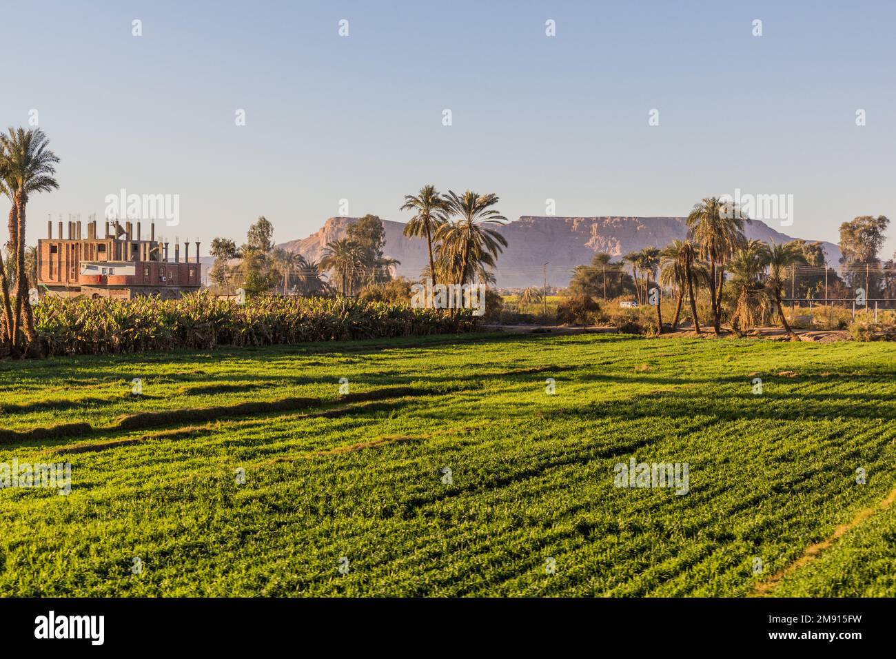 Fields along nile hi-res stock photography and images - Alamy
