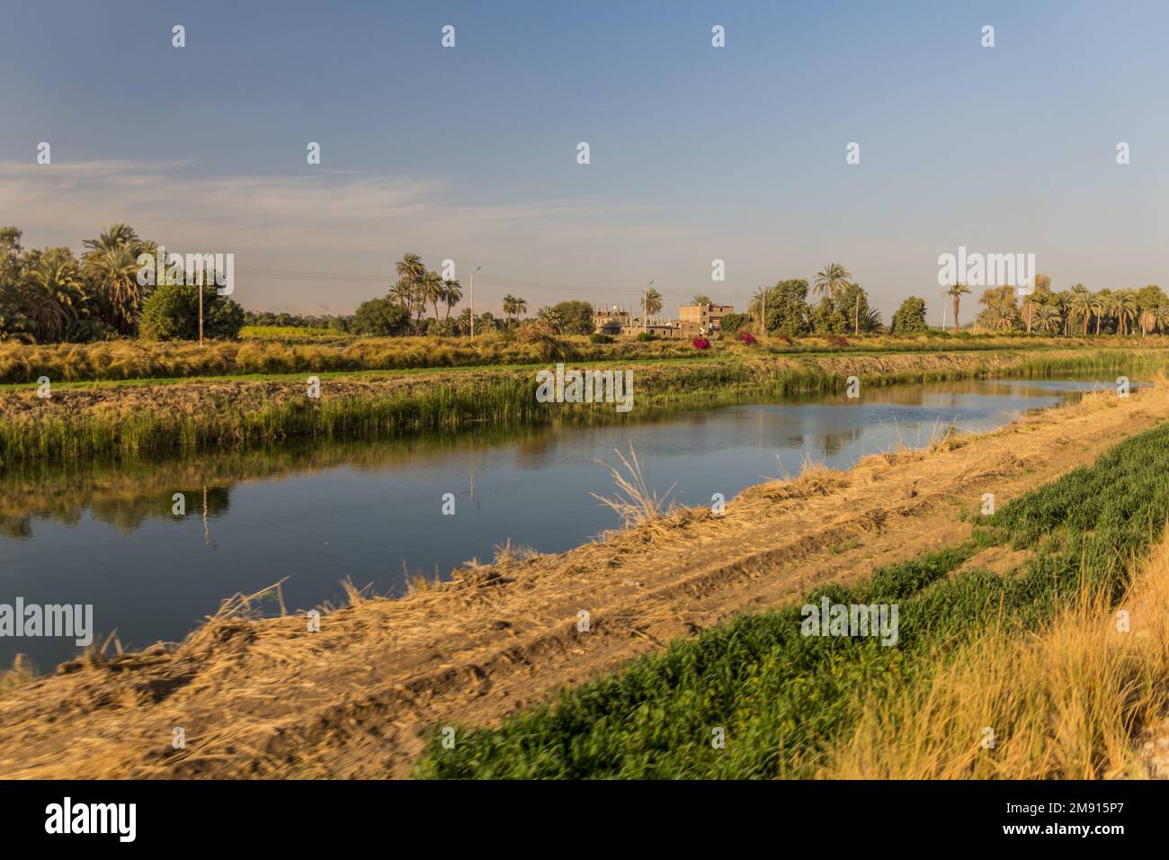 View of an irrigation canal in Egypt Stock Photo Alamy