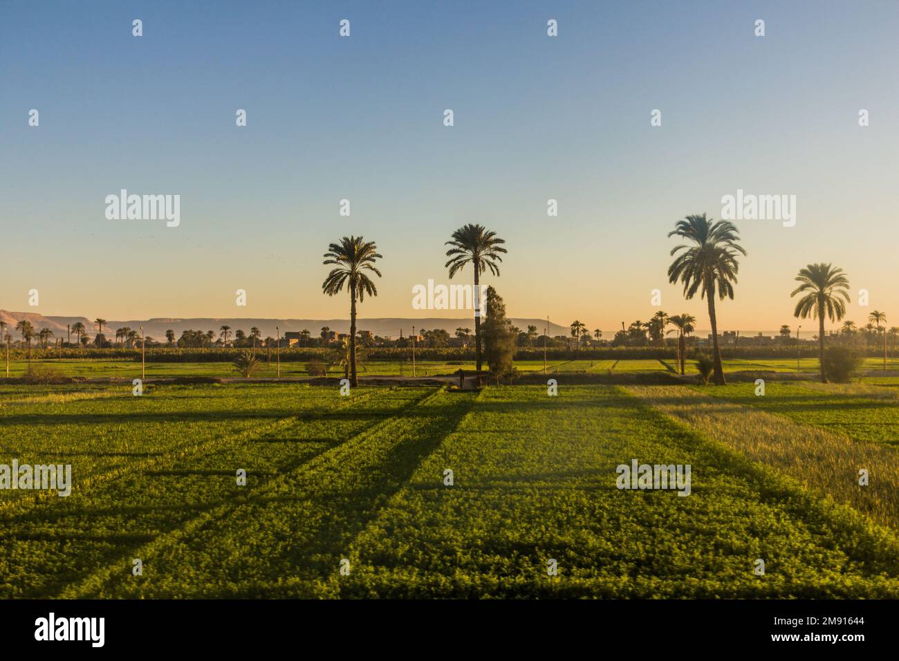 Egypt farming along the nile hi-res stock photography and images - Alamy