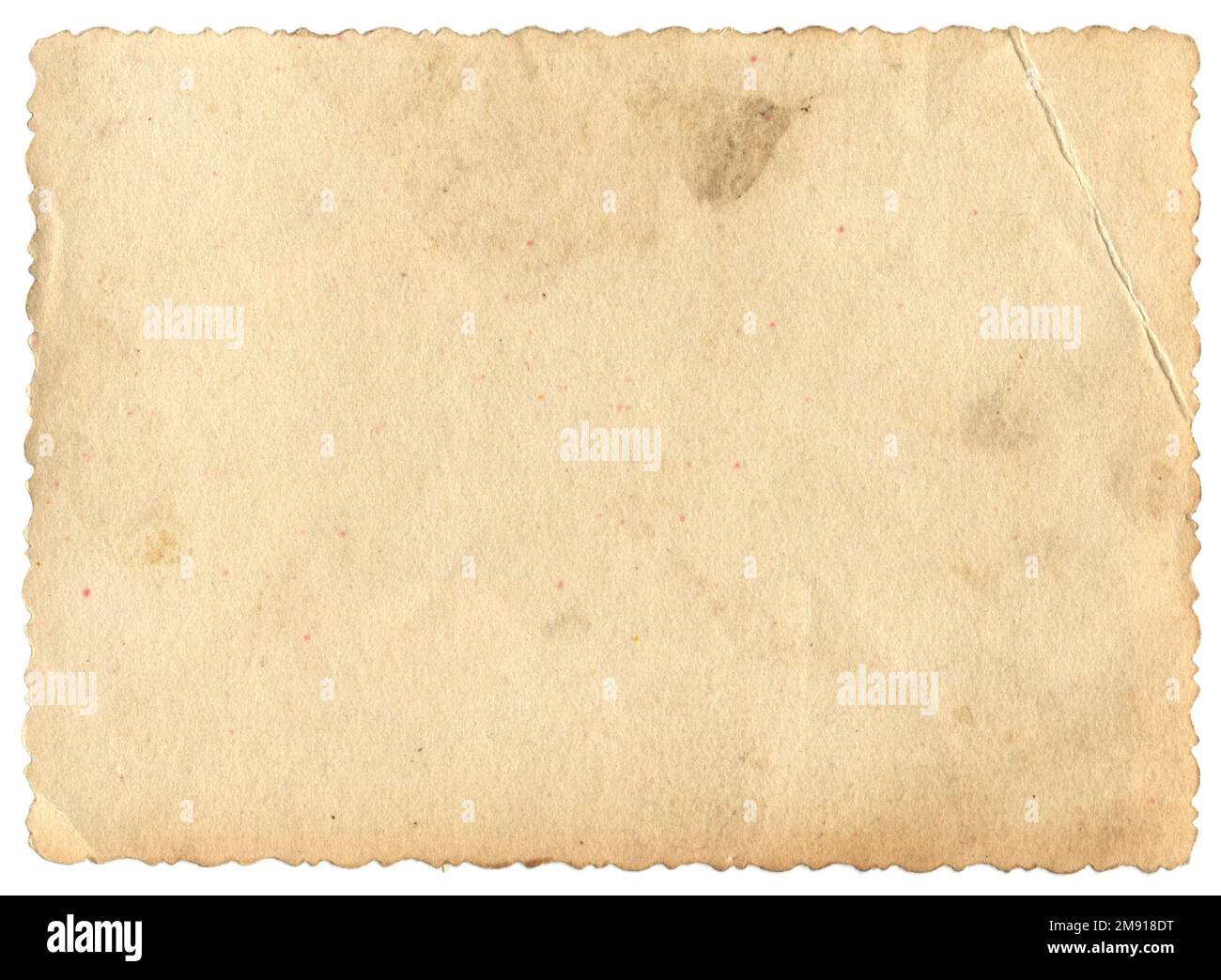 A sheet of an old photographic paper, underside Stock Photo Alamy