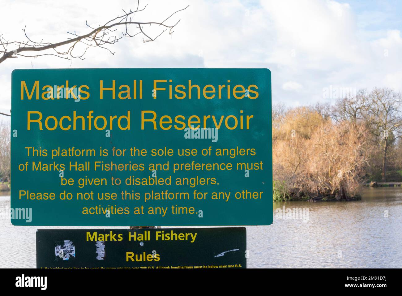 Rochford Reservoir, Rochford, Essex, UK. 16th Jan, 2023. A lone seal