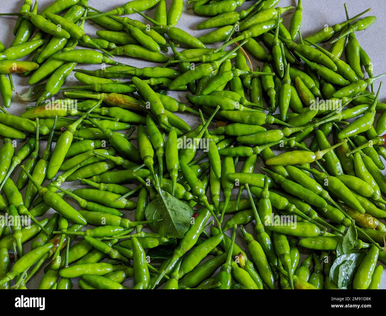 A closeup shot of a green chili peppers Stock Photo - Alamy
