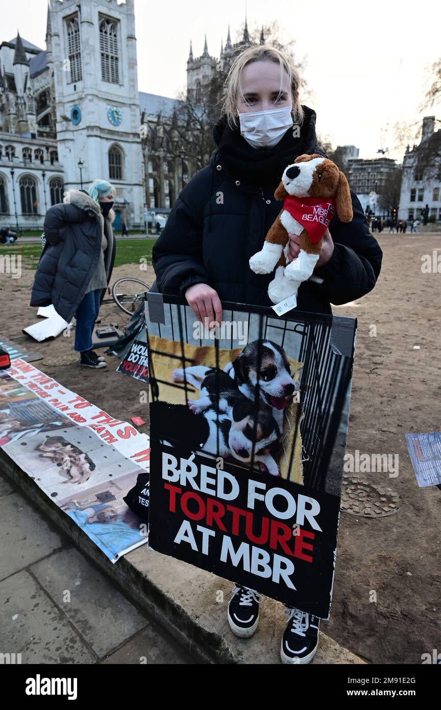Non animal methods hi-res stock photography and images - Alamy