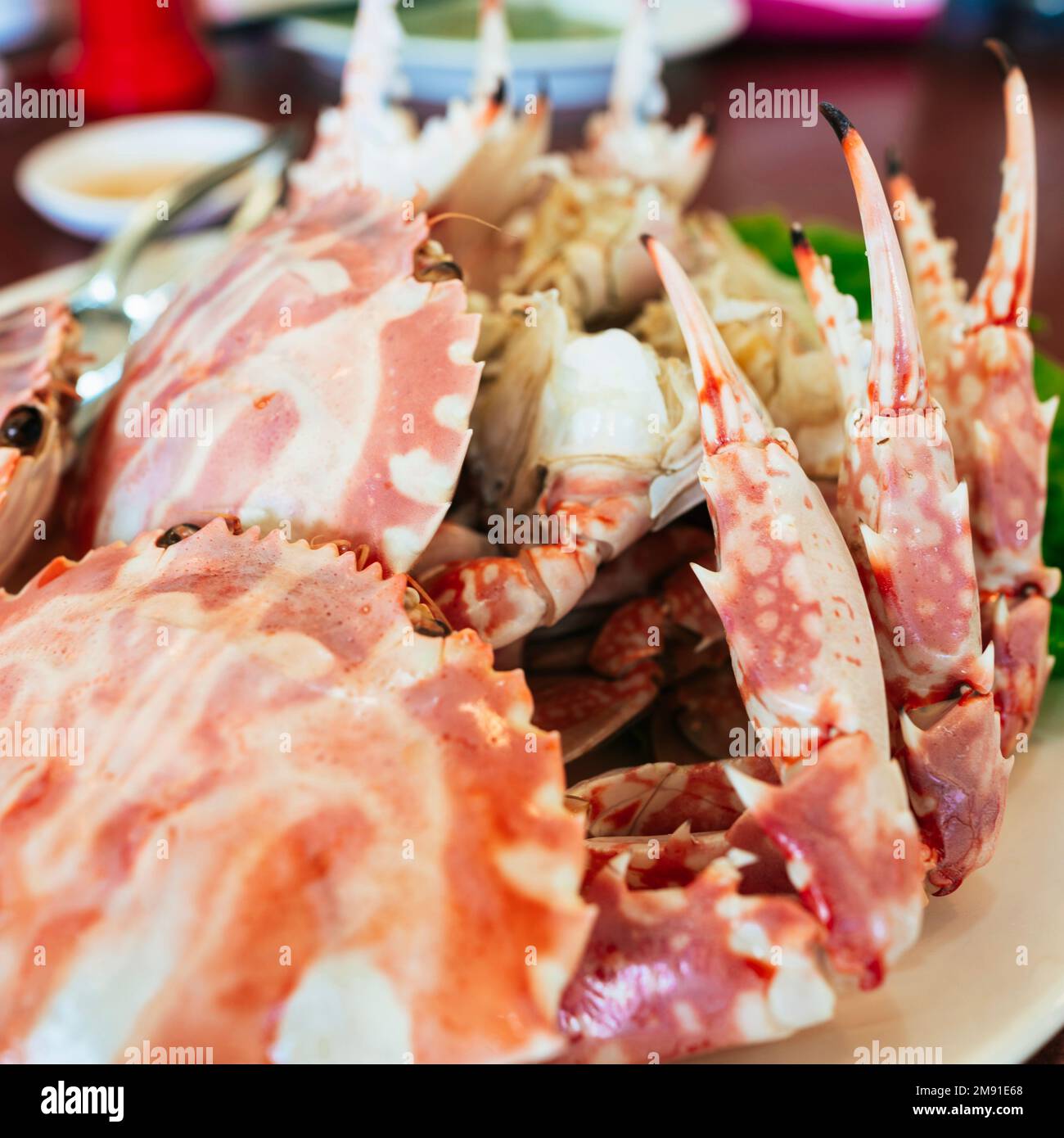Steamed crab Stock Photo