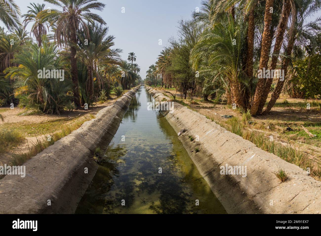 Irrigation canal by the river Nile, Egypt Stock Photo Alamy