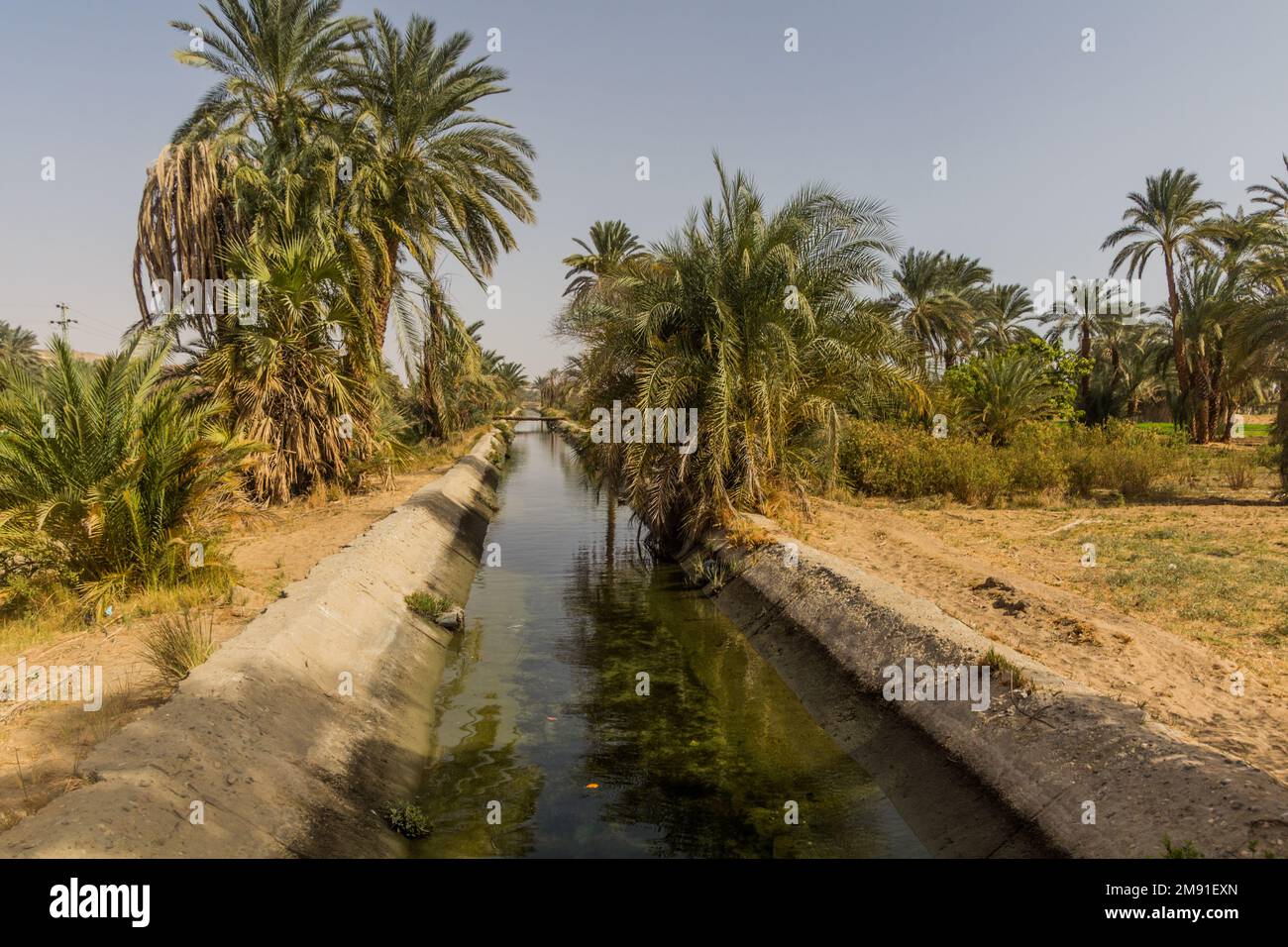 Nile River Irrigation