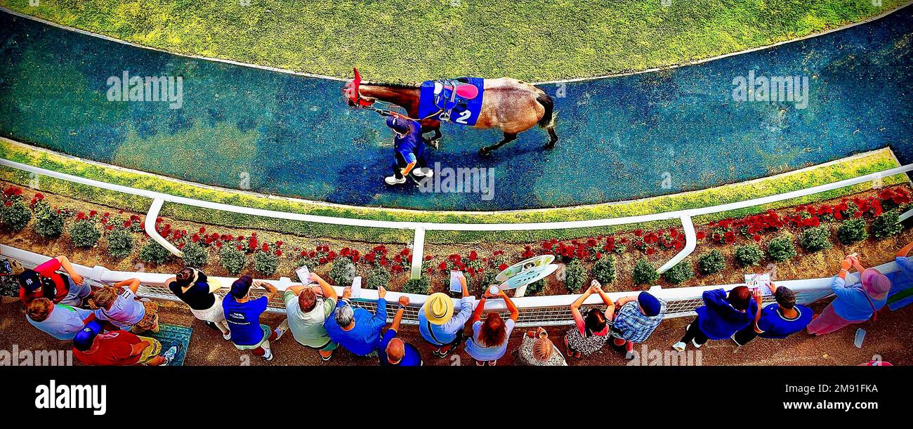 At the Races Stock Photo - Alamy