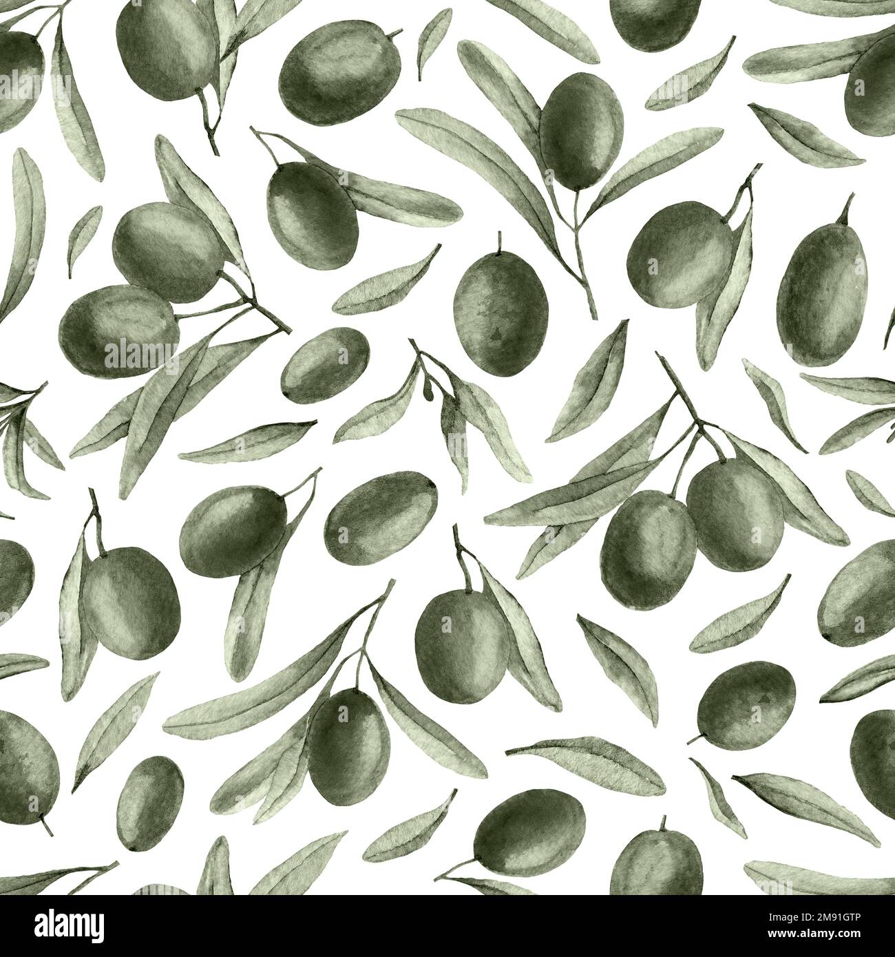 Olive branch Seamless Pattern in watercolor style on isolated ...