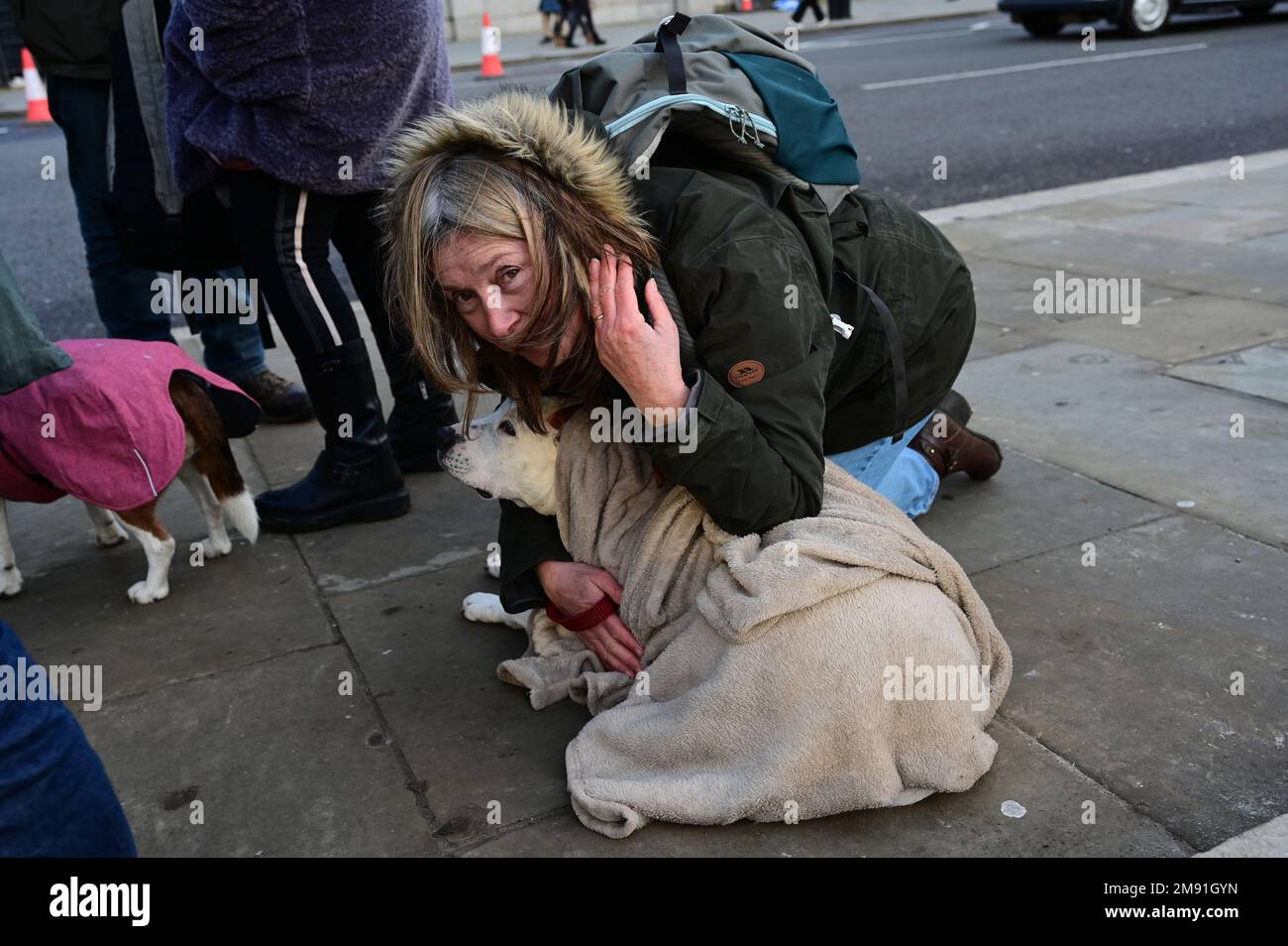 Non animal methods hi-res stock photography and images - Alamy