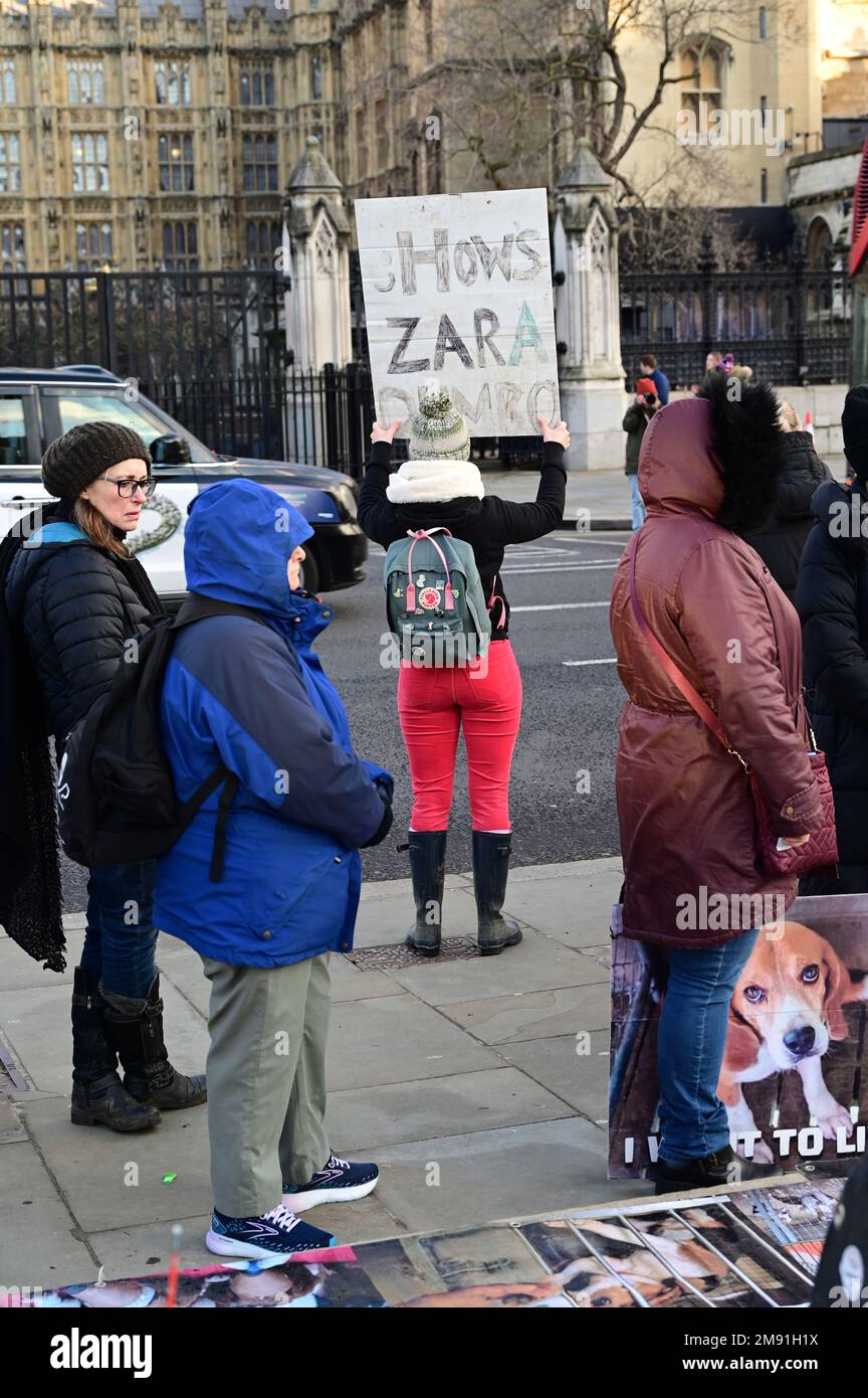 Parliament square, January 16 2023. London, UK. A debate is to be held in Westminster Hall on 16th January 2023 demand to ban commercial breeding of dogs for laboratories and to implement reform to approve & use Non-Animal Methods (NAMs). Credit: See Li/Picture Capital/Alamy Live News Stock Photo