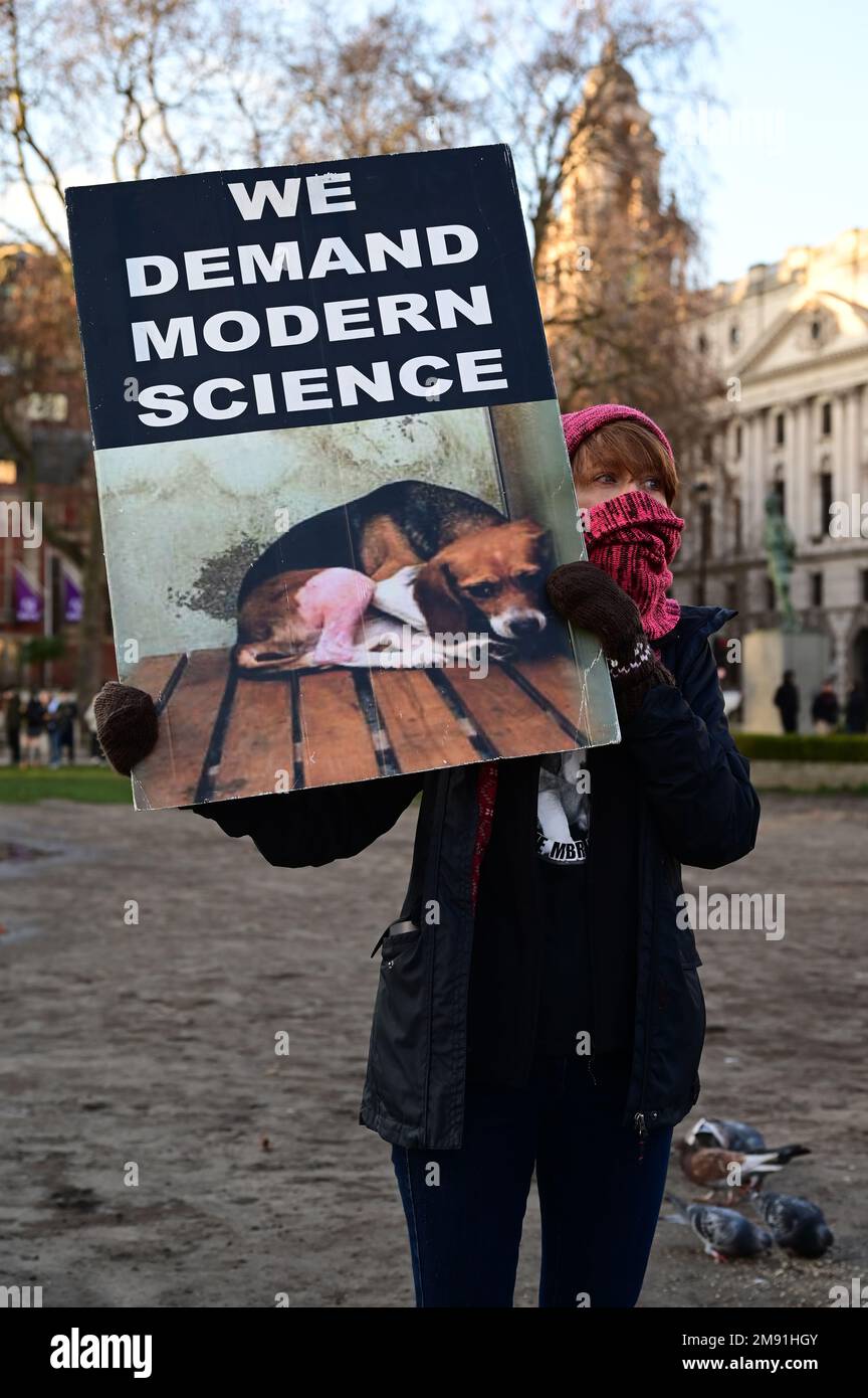 Non animal methods hi-res stock photography and images - Alamy