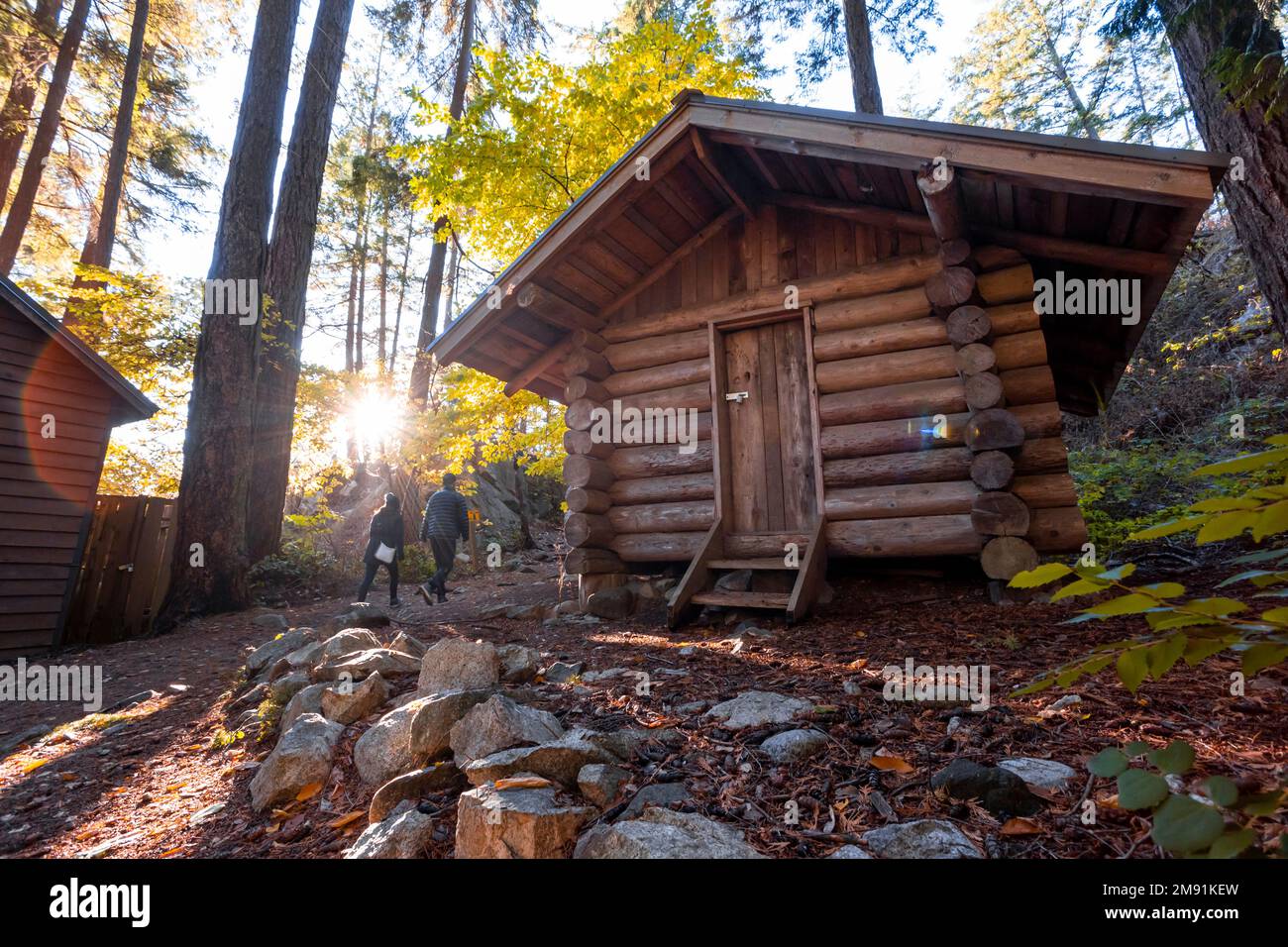Log cabin in a forest in the Autumn in Lighthouse Park Stock Photo - Alamy