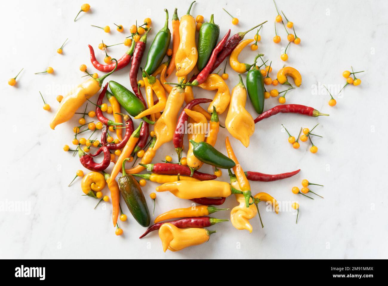 Bright yellow, green, and red chile peppers scattered on a white marble background; cooking Stock Photo