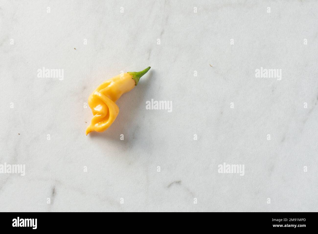 A single curved yellow sugar rush peach pepper sits on a white marble background with copy space; food Stock Photo