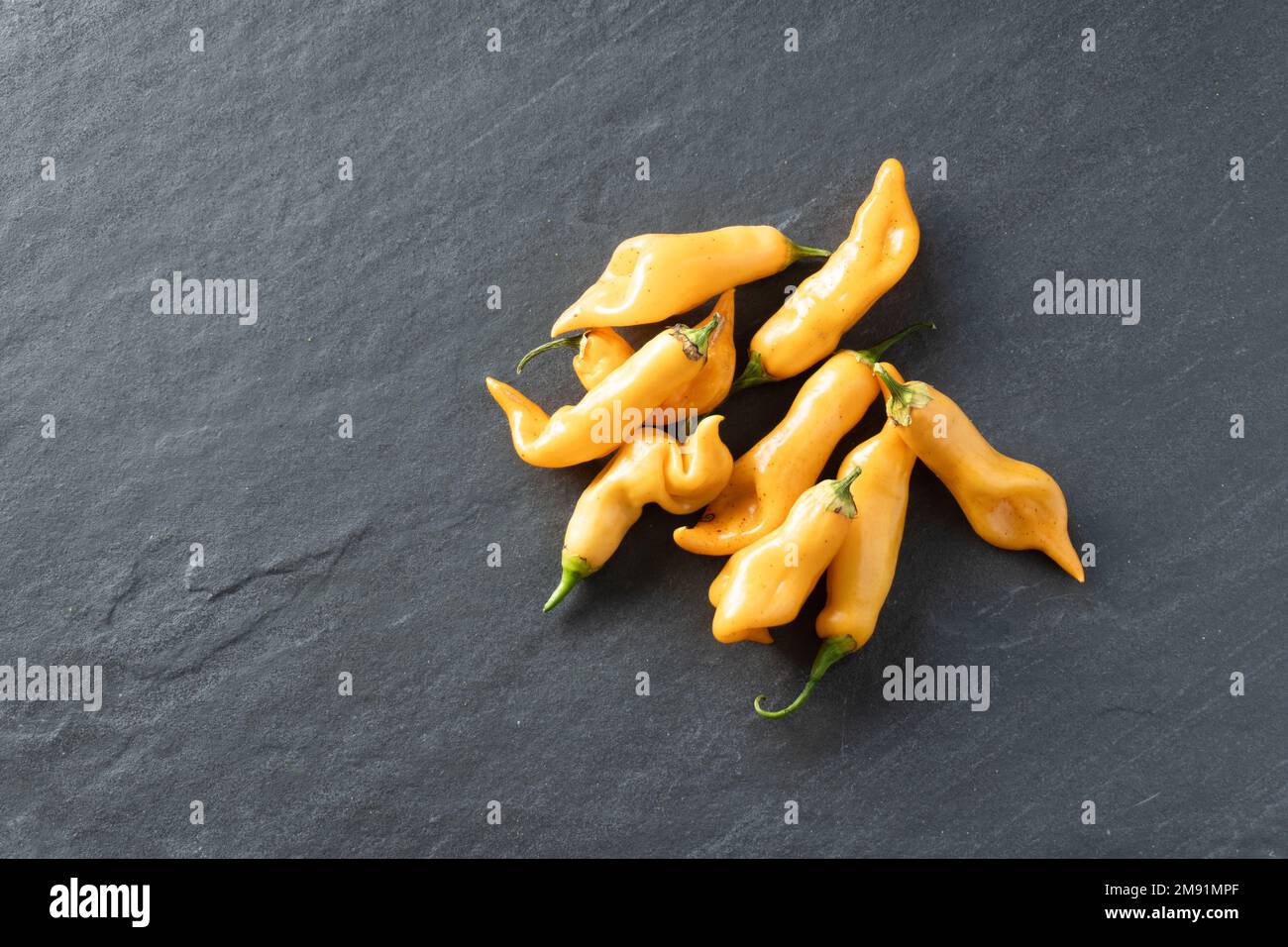 Heirloom bright gold sugar rush peach peppers on a gray slate background; food Stock Photo