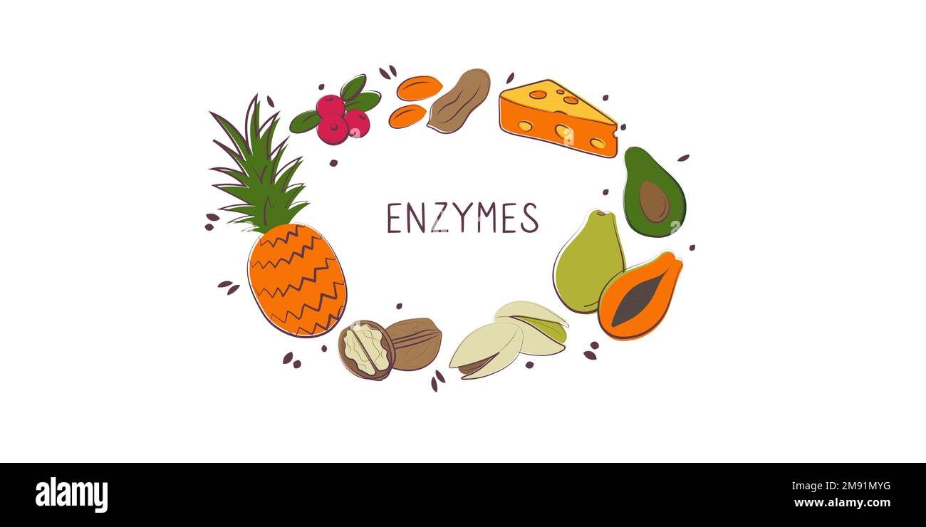 Enzymescontaining food. Groups of healthy products containing vitamins