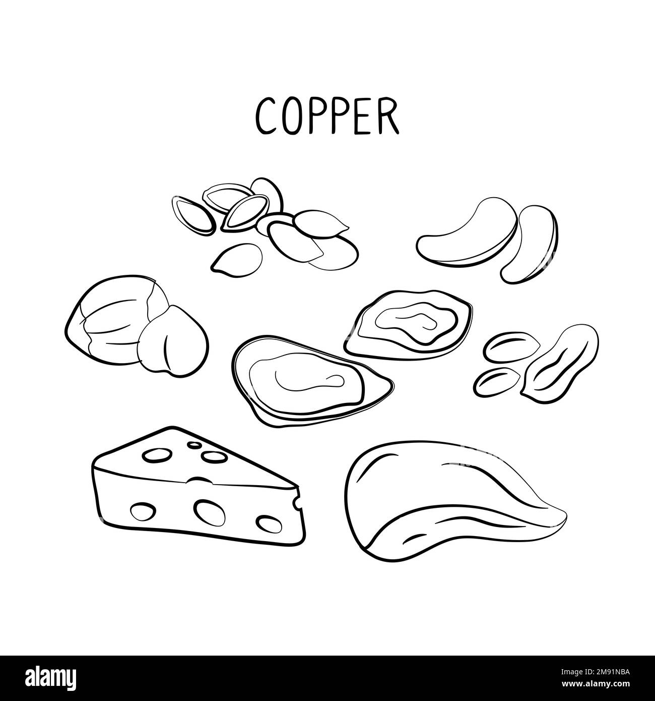 Copper-containing food. Groups of healthy products containing vitamins and minerals. Set of fruits, vegetables, meats, fish and dairy Stock Vector