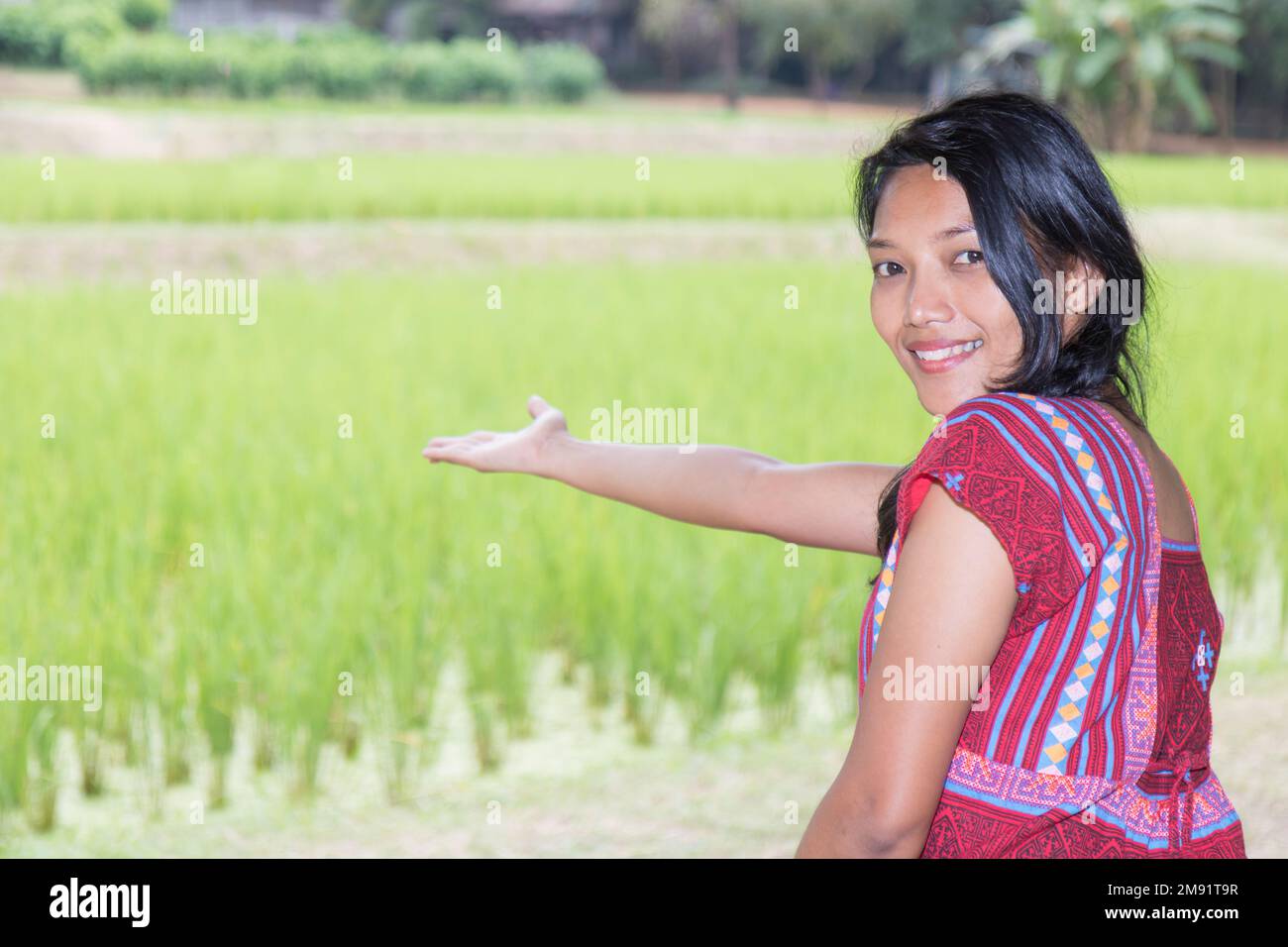 A young woman in a traditional costume points to a rice field Stock Photo