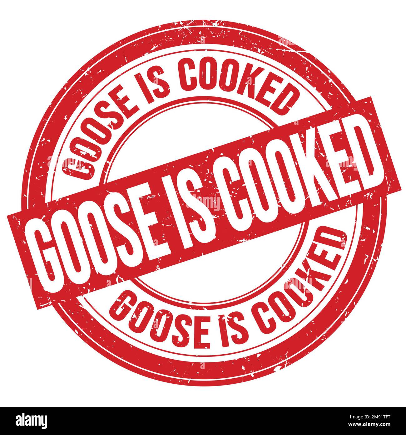 GOOSE IS COOKED text written on red round grungy stamp sign Stock Photo