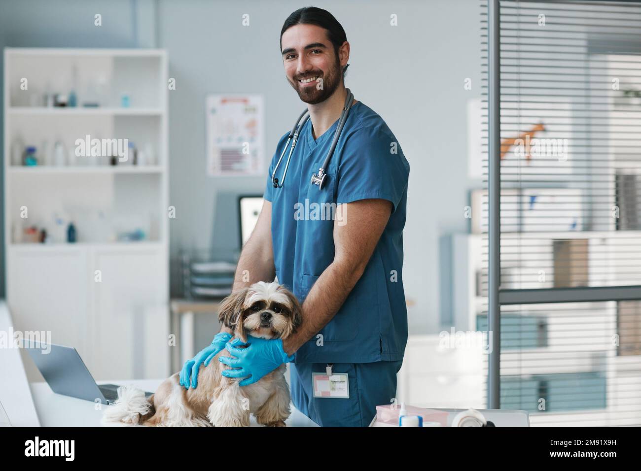 Young smiling veterinarian in blue uniform standing by workplace and looking at camera during medical examination of yorkshire terrier Stock Photo