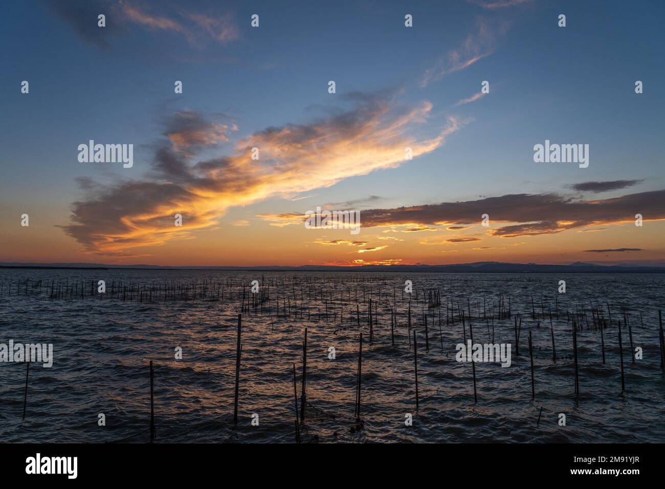 The Albufera is a freshwater lagoon, the largest in Spain. Valencia. Stock Photo