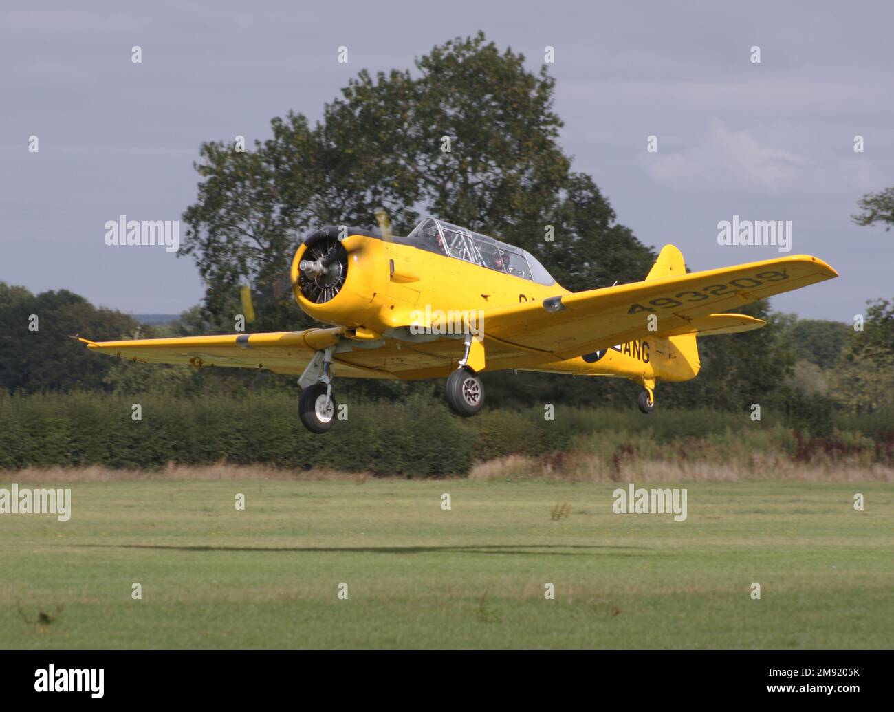 A North American T-6G Harvard 4 takes off at Headcorn Airfield Kent Stock Photo