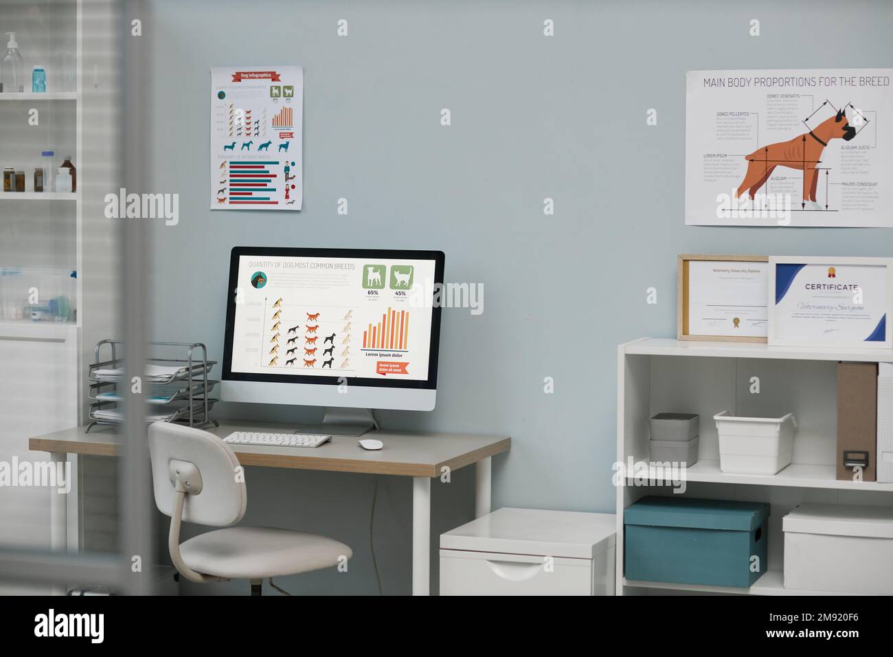 Workplace of vet expert with graphic information describing quantity of dogs most common breeds on screen of computer monitor Stock Photo
