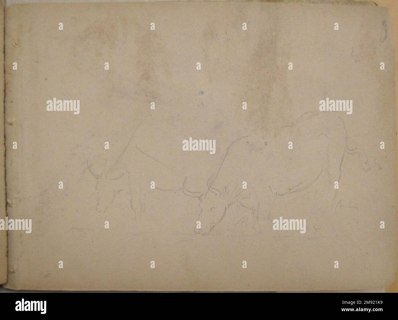 Sketchbook, Conway, New Hampshire David Johnson (American, 1827-1908). Sketchbook, Conway, New Hampshire, July-October 1851. Graphite, chalk, and opaque watercolor on medium-weight, beige, wove paper, sketchbook, sketchbook: 4 7/8 x 6 3/4 x 5/16 in. (12.4 x 17.1 x 0.8 cm).  A landscape painter who devoted himself to the careful study of nature, Johnson traveled throughout the Northeast collecting sketches that he would then use to create highly detailed paintings in his studio. Some of his haunts included the Catskill and Adirondack mountains in New York and the White Mountains in New Hampshir Stock Photo