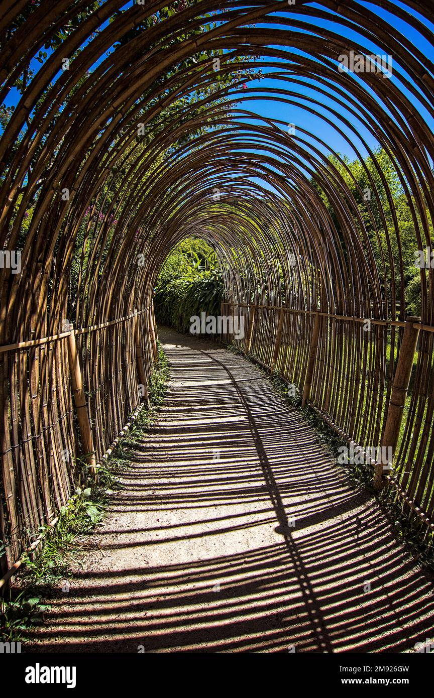Bamboo Tunnel - Tunnel made from bamboo being curved and tied over a  walkway Stock Photo - Alamy