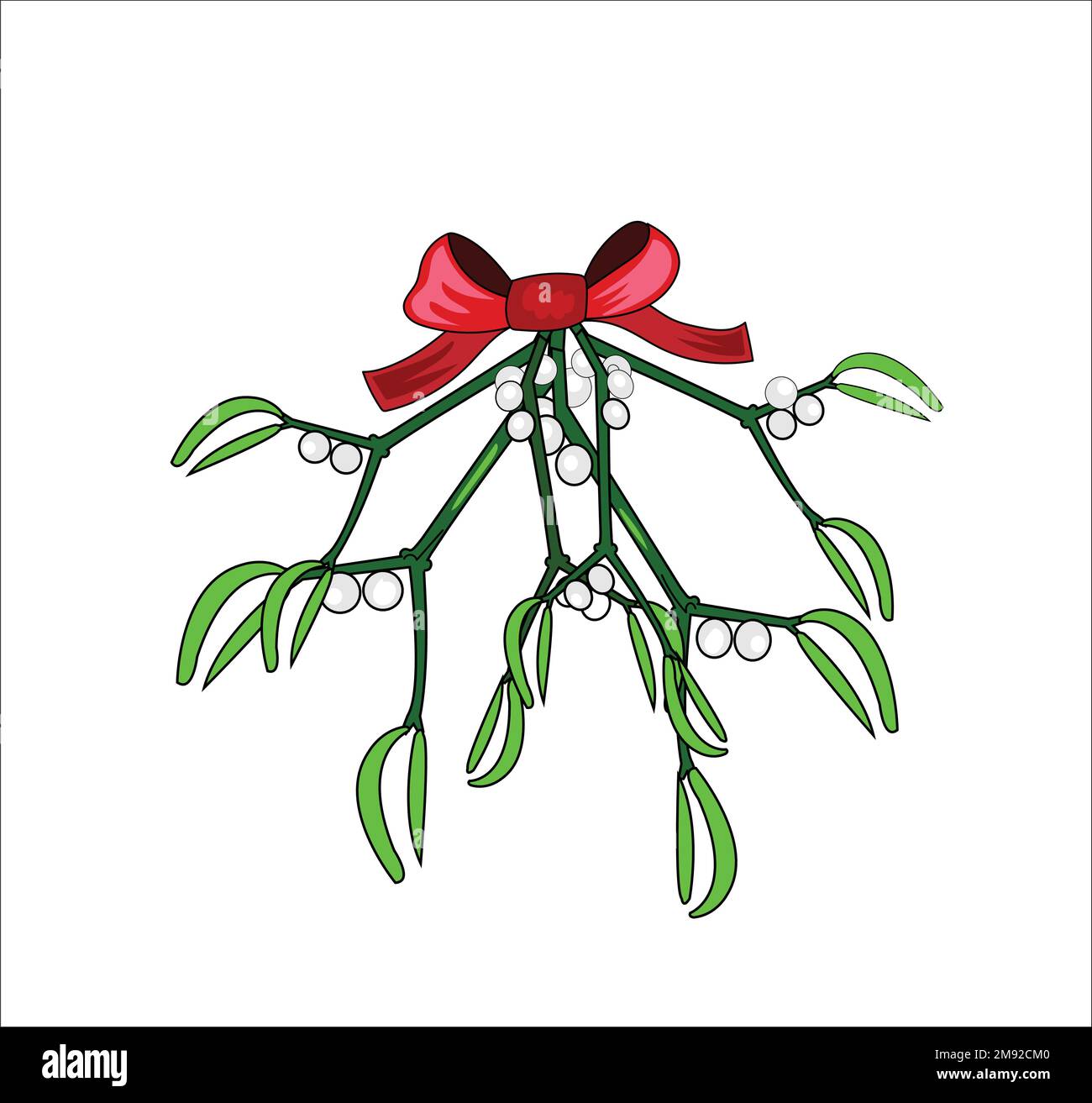 Holly vector illustration on white background Stock Vector
