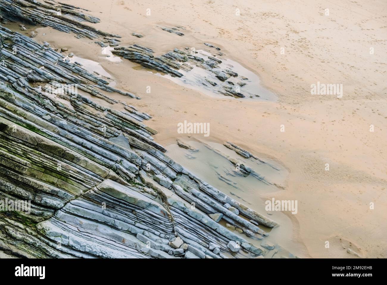 Flysch buried in the sand of a beach, beautiful geological background ...