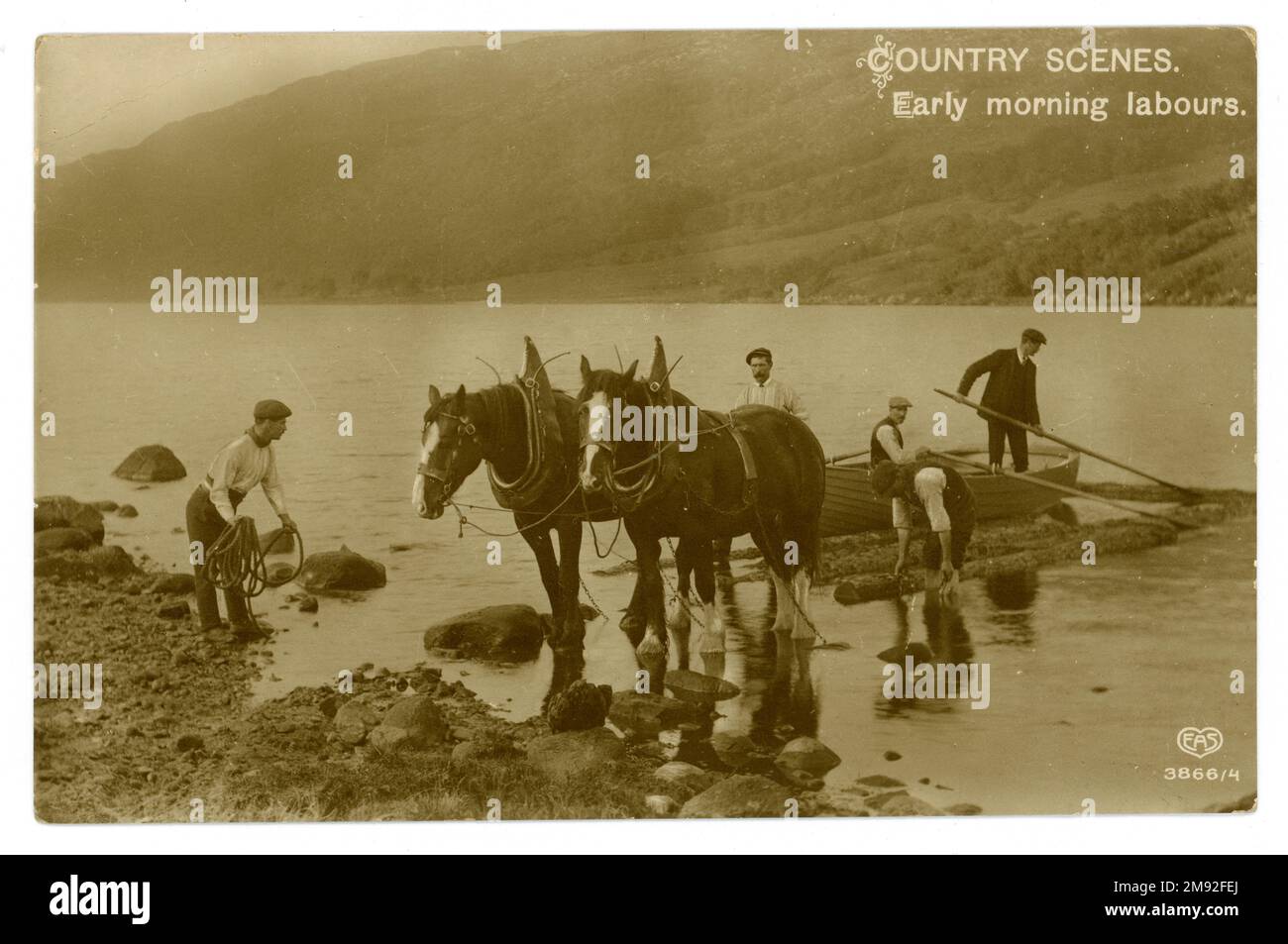 Original Edwardian era postcard of Country Scene,  agriculture /  lumberjacks, forestry workers with heavy horses logging along a lake, bringing logs into the shore. Text 'Country Scenes, Early Morning Labours'. Postcard is published by E.A. Schwerdtfeger & Co London, EC. dated / posted 1912 possibly Cumbria, England,  U.K. Stock Photo