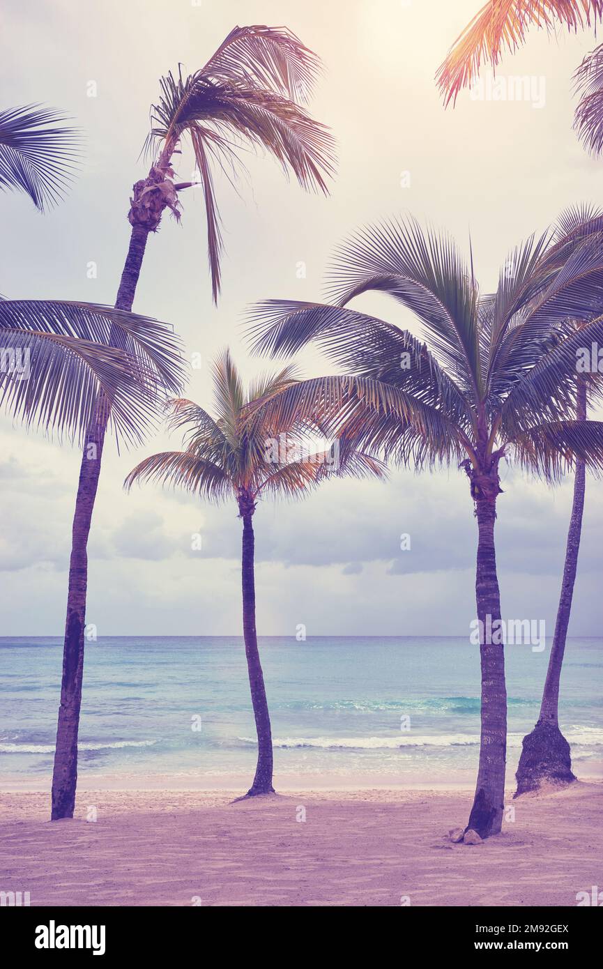 Beautiful tropical beach scene palm hi-res stock photography and images ...
