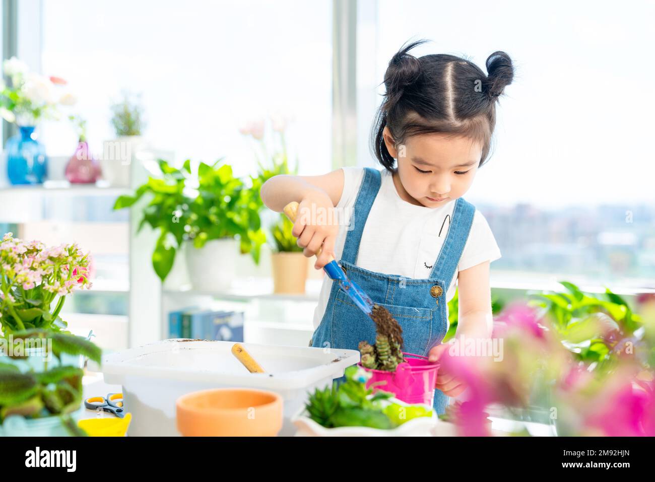 Happy little girl grow pot at home Stock Photo - Alamy