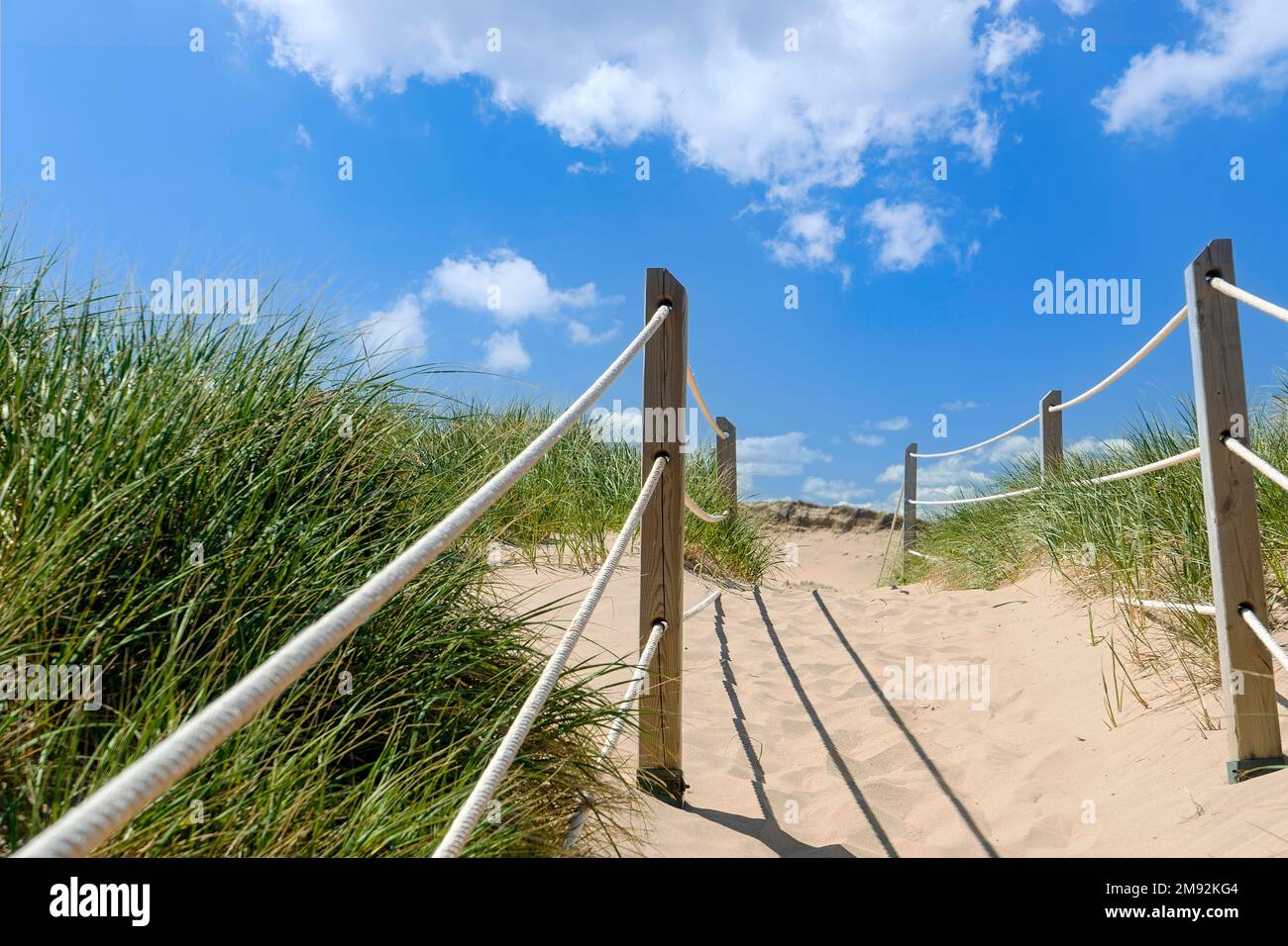 Path through the sand dunes to the beach at PEI National Park  in Prince Edward Island, Canada. Stock Photo