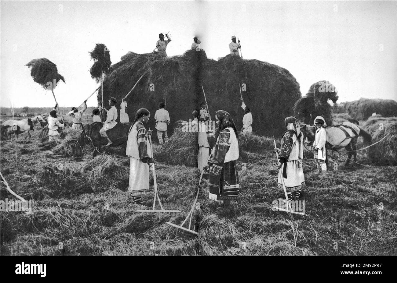 Haymaking in a southern Russian village. Girls in festive slanting belted shirts, a woman in a festive costume ca.  before 1917 Stock Photo