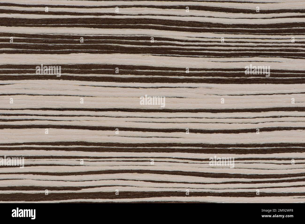 Texture of natural wood with horizontal black and white stripes. Zebra