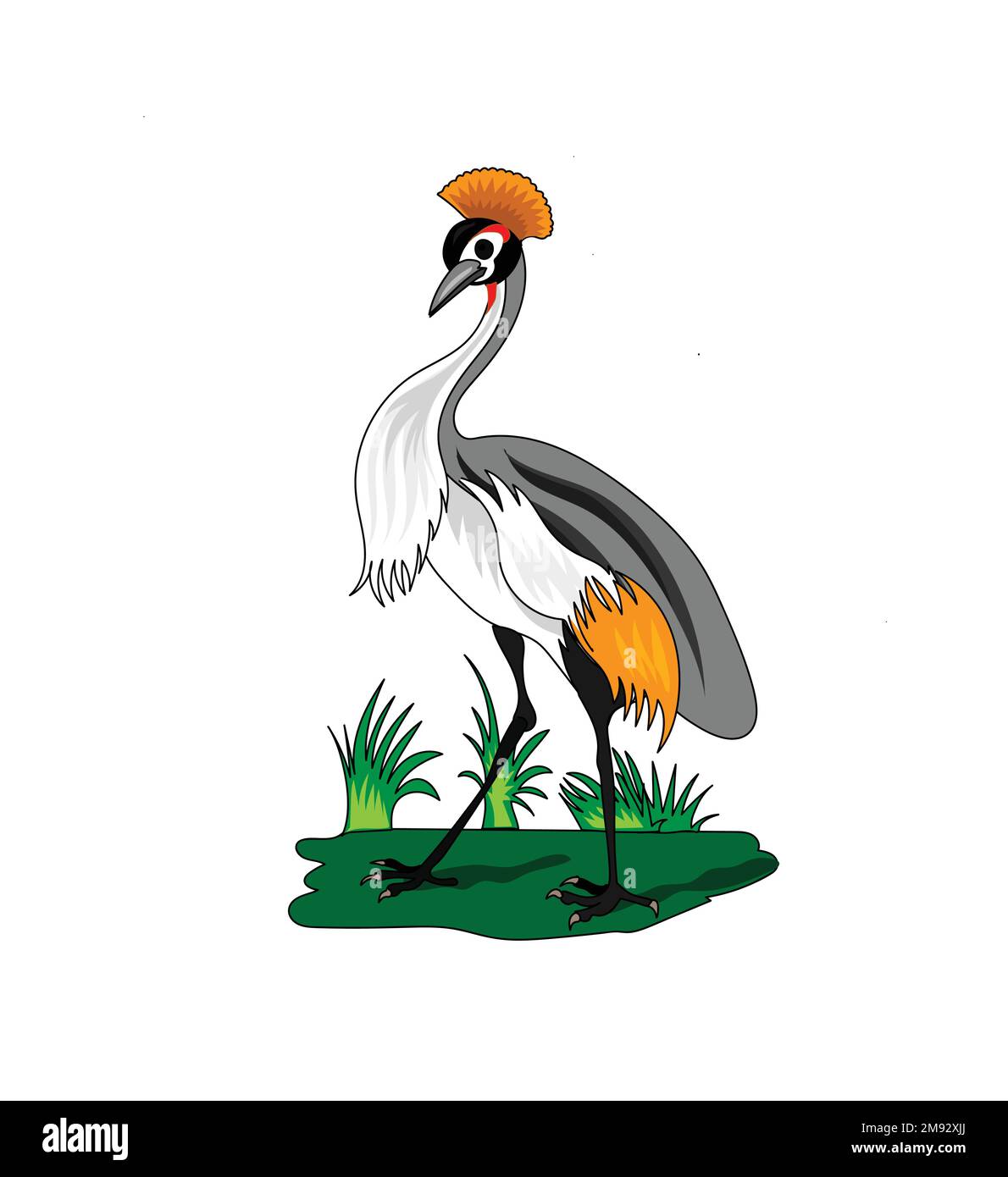crowned crane bird vector illustration with white background Stock Vector