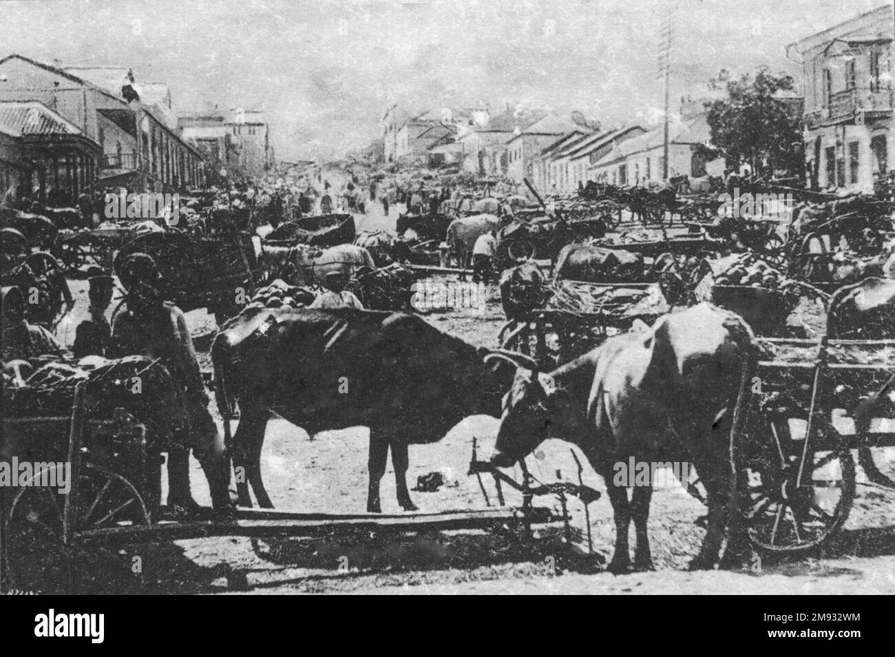 Lugansk or Luhansk Ukraine. Livestock in New Market Square ca.  before 1917 Stock Photo