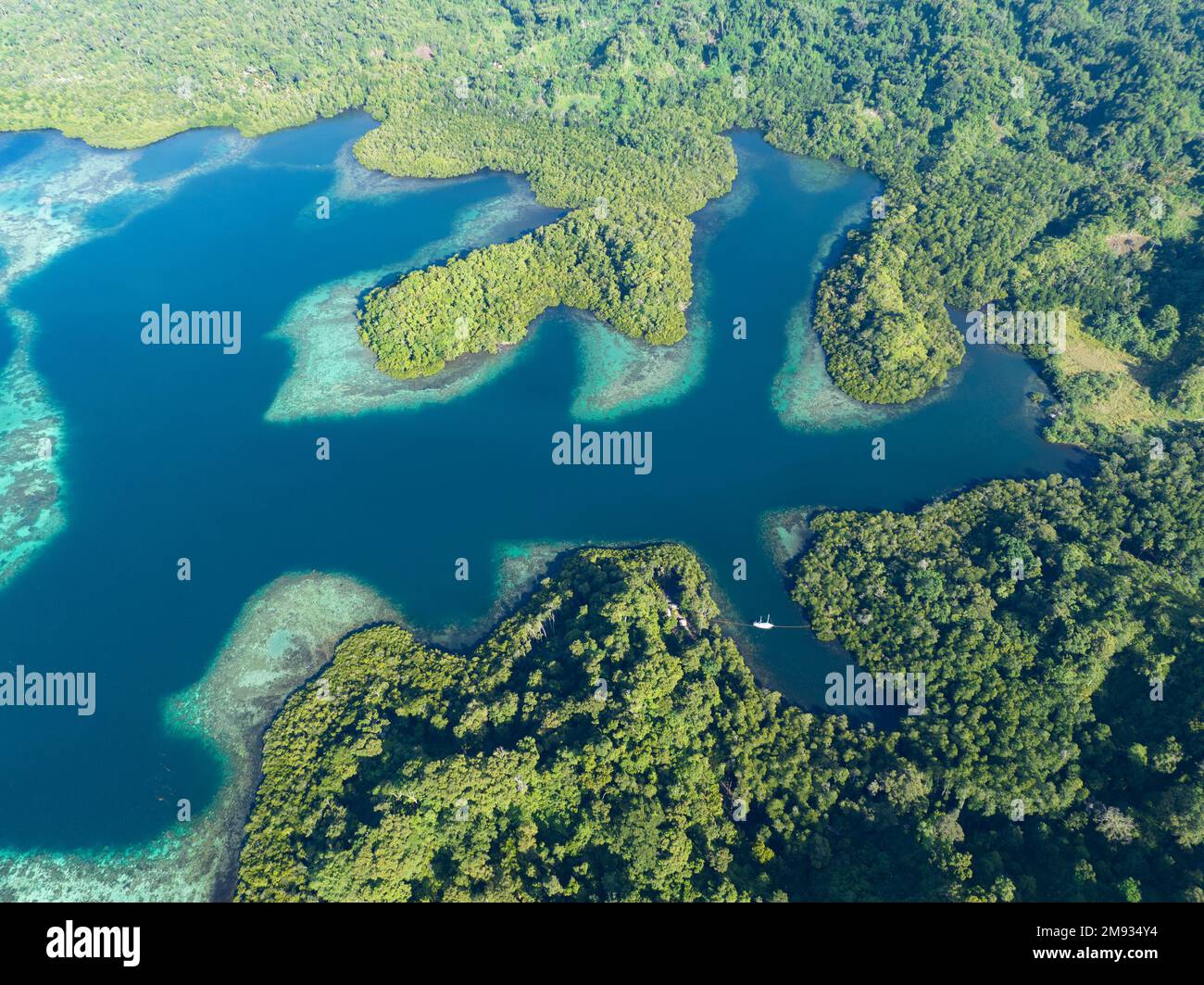 Coral reefs fringe convoluted, tropical islands found in a remote part of the Solomon Islands. This country harbors extraordinary marine biodiversity. Stock Photo