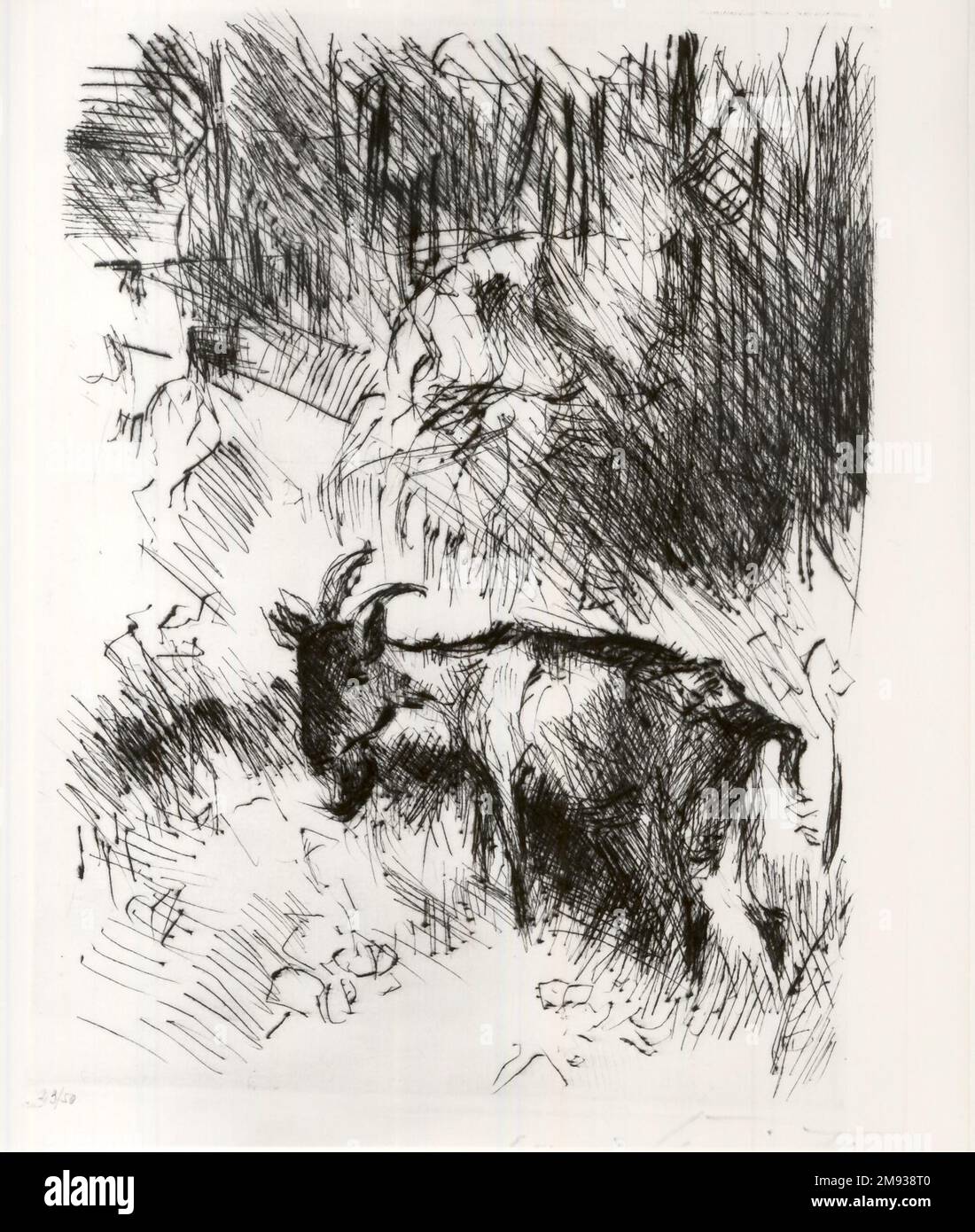 The Billy Goat (Die Ziegenbock) Lovis Corinth (German, 1858-1925). , 1920. Etching and drypoint on wove paper, Image (Plate): 9 15/16 x 7 1/4 in. (25.2 x 18.4 cm).   European Art 1920 Stock Photo