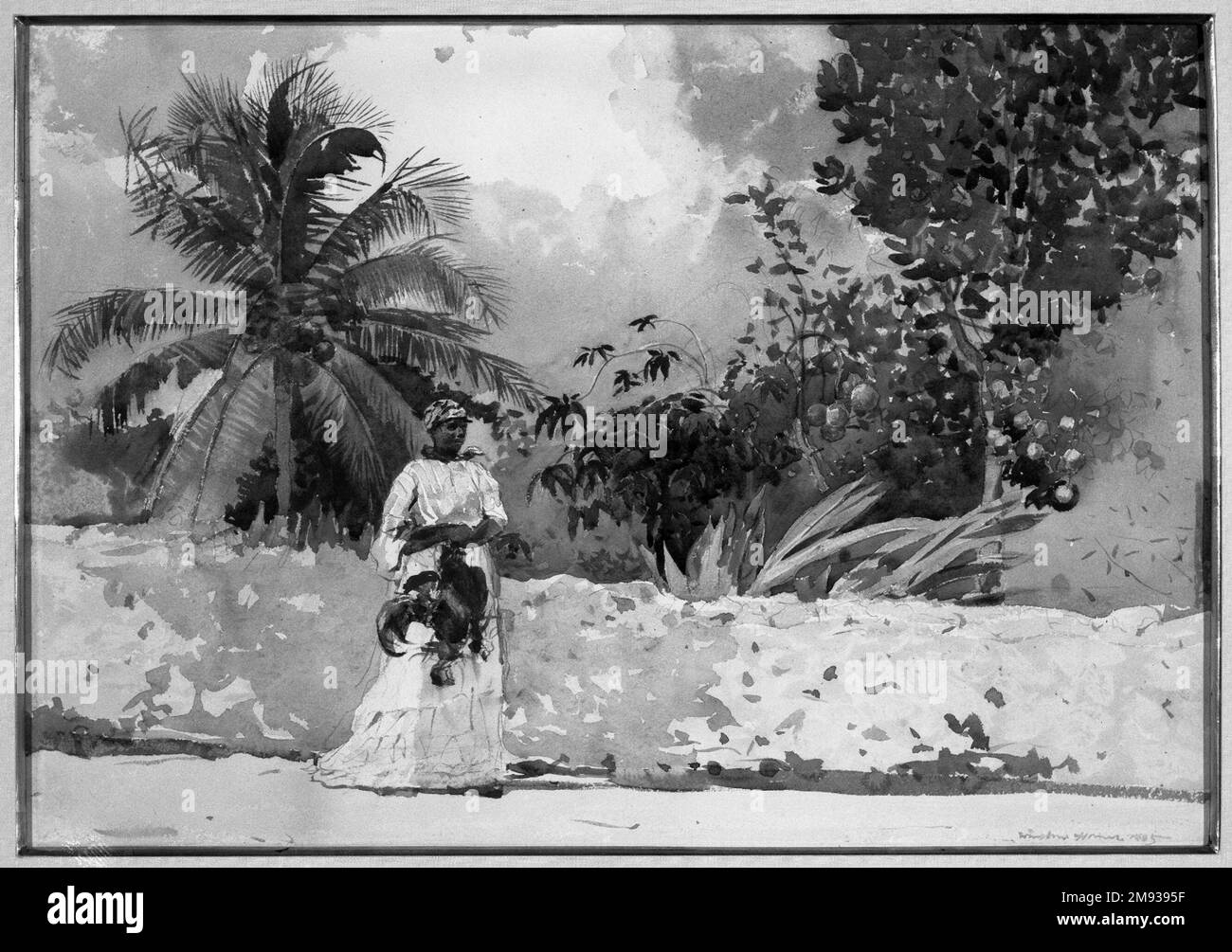 On the Way to Market, Bahamas Winslow Homer (American, 1836-1910). On the Way to Market, Bahamas, 1885. Watercolor over pencil, Sheet: 13 15/16 x 20 1/16 in. (35.4 x 51 cm).  Beginning in 1884, Winslow Homer—one of the most admired U.S. artists of the nineteenth century—made numerous winter visits to tropical locations. Watercolor became his preferred medium while traveling. This light-filled composition is one of at least six depictions Homer completed in 1885 of everyday scenes featuring local market women on the coral streets of the Bahamian capital, Nassau. A comienzos de 1884, Winslow Hom Stock Photo