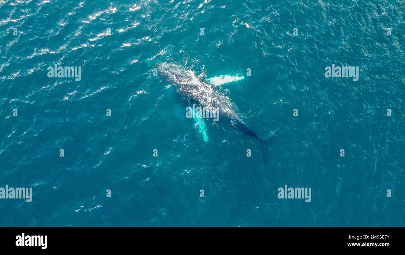 Taylorfausettphoto hi-res stock photography and images - Alamy