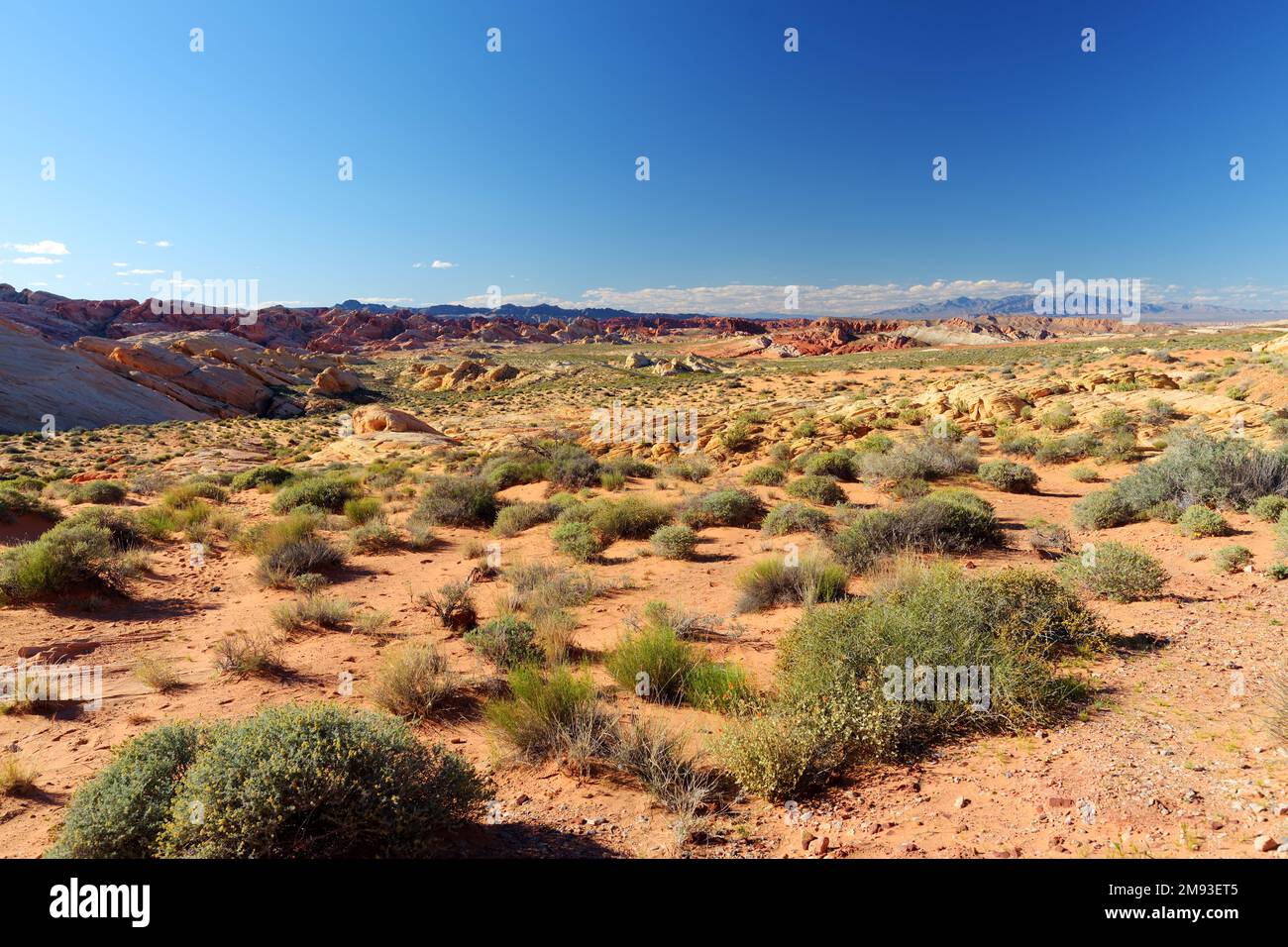 Amazing colors and shapes of sandstone formations in Valley of Fire ...