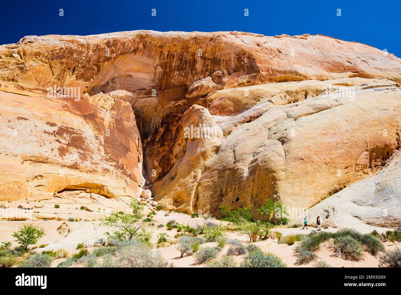 Amazing colors and shapes of sandstone formations in Valley of Fire ...