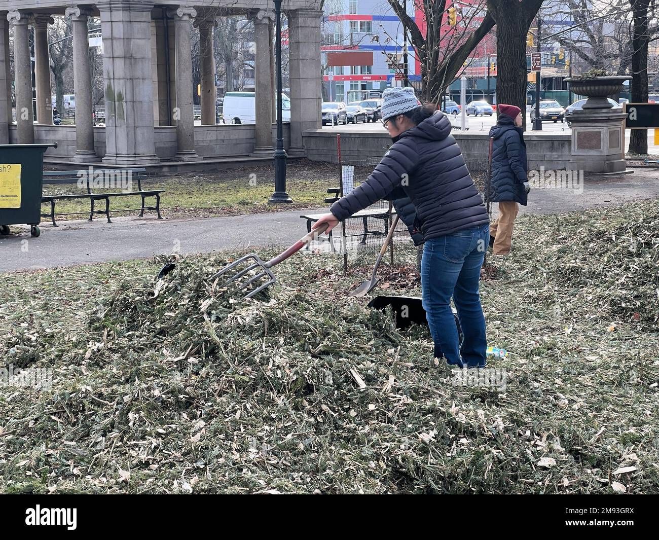 New York City has a mulching program for Christmas trees when the