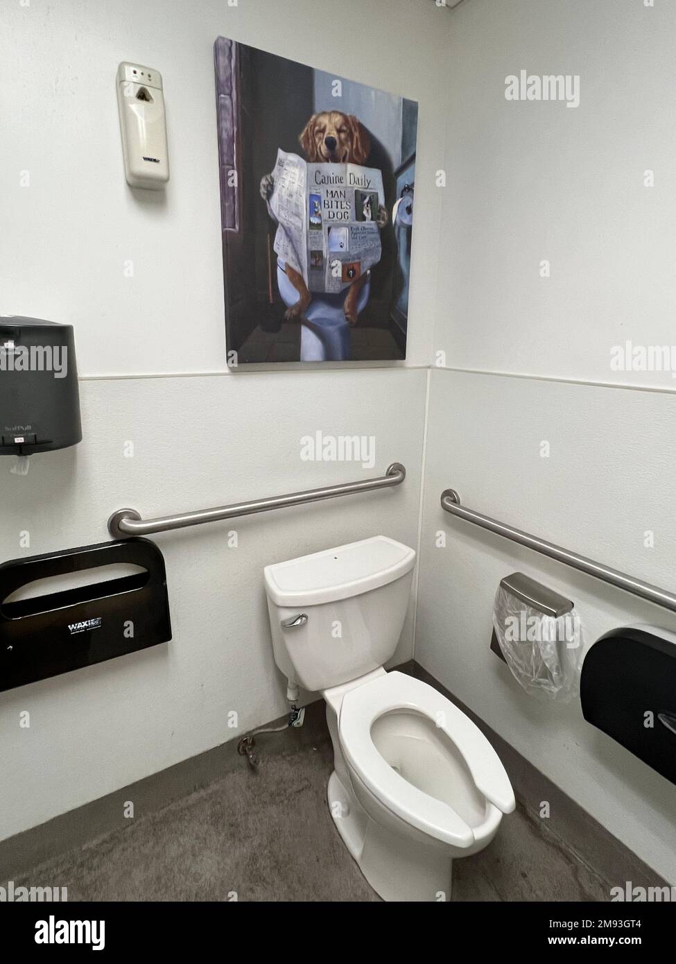 Funny painting in a pet store public bathroom in Brooklyn, New York