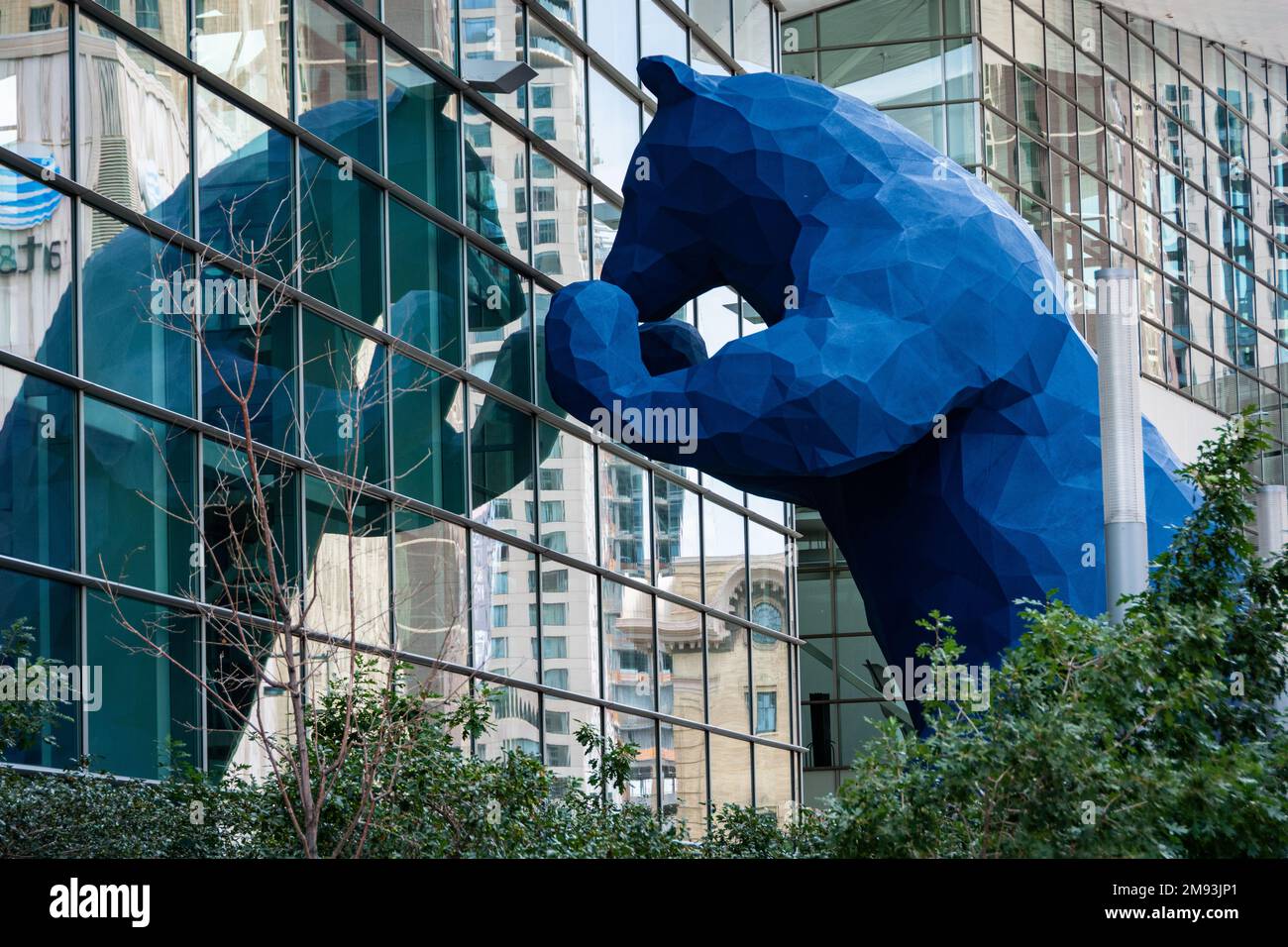 A 40-foot-high Blue Bear 'I see what you mean' sculpture imparts a sense of playfulness as it peers into Denver's downtown convention center. Stock Photo